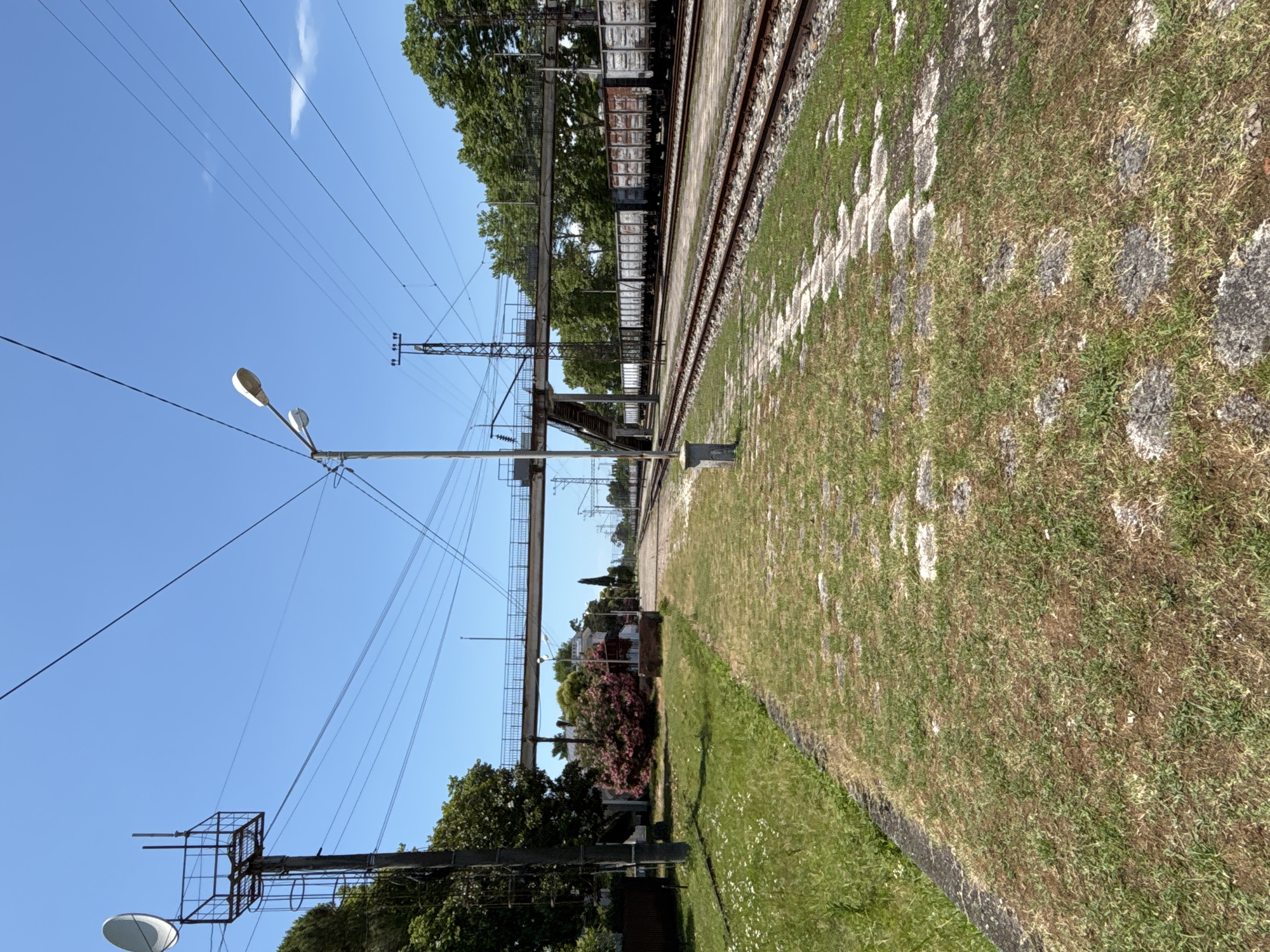 This is a vertical, full shot of an outdoor scene next to a train track. The sky is clear and blue, suggesting it is daytime. On the right side of the image is a grassy area with some patches of dirt and scattered white and gray stones, possibly paving stones, poking through the grass. A section of train tracks runs horizontally across the middle of the image, with a train of boxcars parked on the tracks. The train is made up of several gray, metallic cars. Beyond the train tracks, there are trees and some buildings visible in the distance, with a pink flowering bush in the foreground.
On the left side of the image are several electrical poles and wires. One pole has a street lamp attached to it. Another pole has a more complex structure with a cage-like element at the top. The overall scene appears to be a train station or a railway line in a somewhat rural or suburban area. There is no visible text in the image. The lighting suggests it is a sunny day.