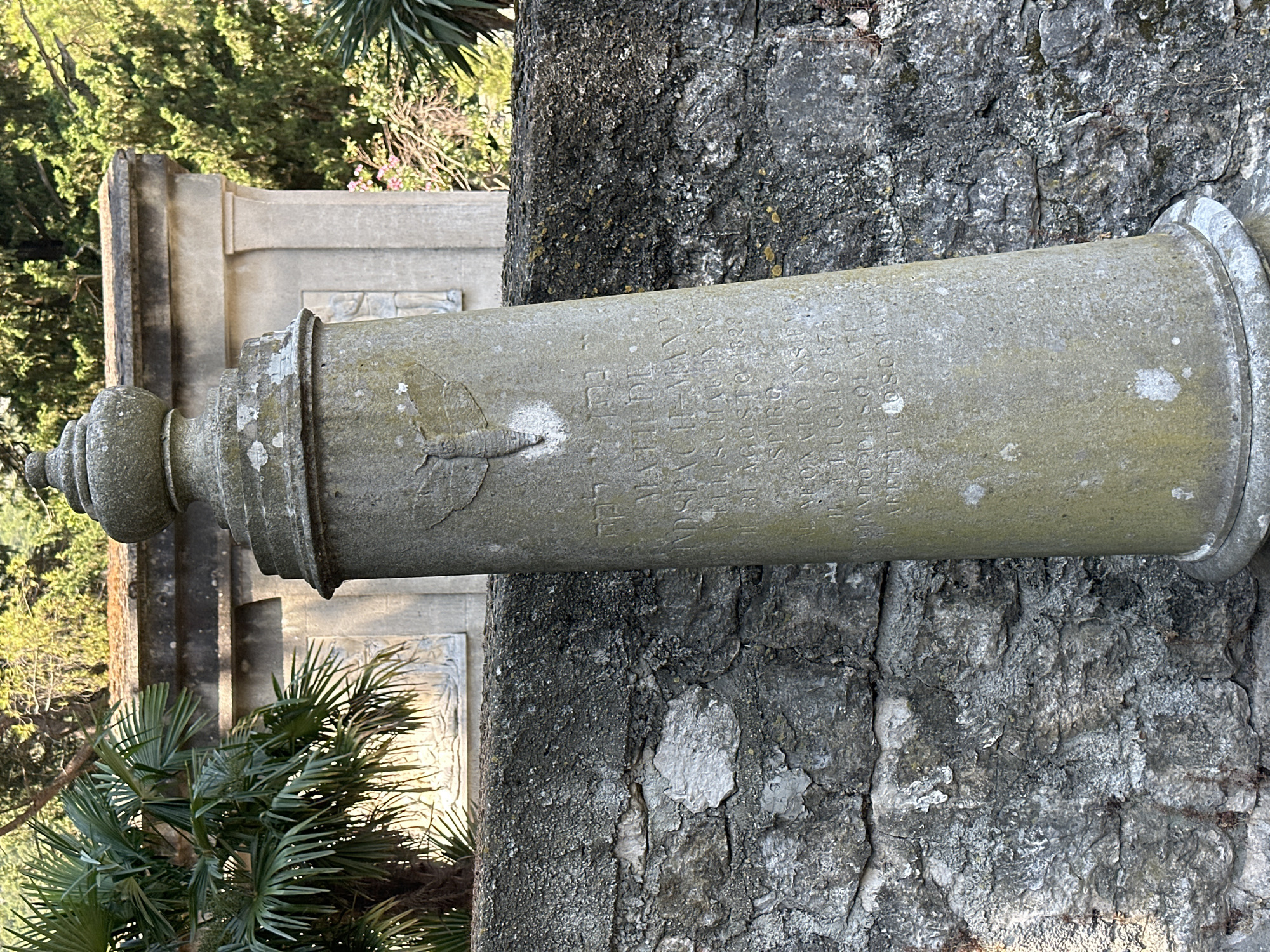 In the city of Škaljari, Montenegro, a weathered, conical stone monument stands tilted to the right, its surface covered in lichen and bearing inscriptions. Atop the monument is a finial, and near its middle, a relief carving of a moth is visible. The monument is positioned in front of a rough, grey stone wall. Behind the wall, a structured building with a sculpted relief is partially visible, flanked by lush green trees and palm fronds. The lighting suggests a sunny day. The inscription on the monument, in a language that appears to be Hebrew and Italian, is partially legible, mentioning dates such as August 1829 and July 1875.