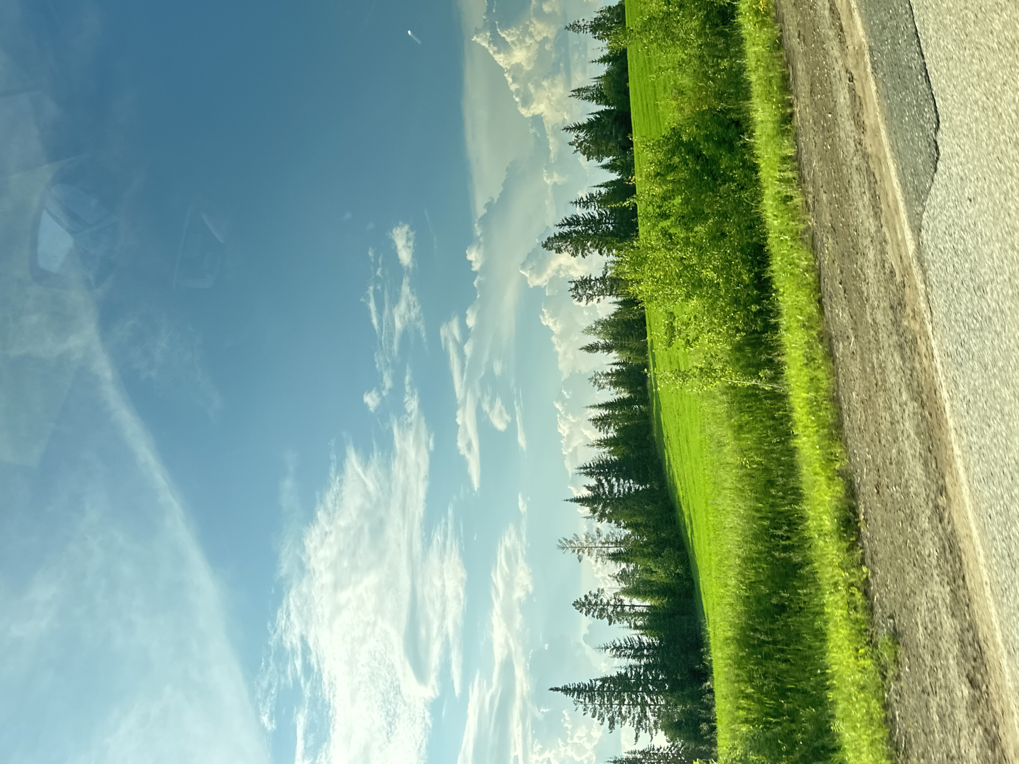 The image depicts a scenic natural landscape under a bright, partly cloudy sky. In the foreground, a gray asphalt road with visible patches and a dirt shoulder runs horizontally across the frame. Adjacent to the road is a vibrant green field, densely covered with grass and small bushes. Beyond the field, a line of coniferous trees forms a dark green border against the bright, sunlit meadow. The background is dominated by a clear blue sky with scattered white, puffy clouds, some of which are streaked with wispy cirrus formations. The reflection of car mirrors can be seen in the upper portion of the sky, suggesting the photo was taken from inside a vehicle. The overall scene is one of rural tranquility and natural beauty, indicative of a landscape likely found in the outskirts of a city like Buranovo, Russia.