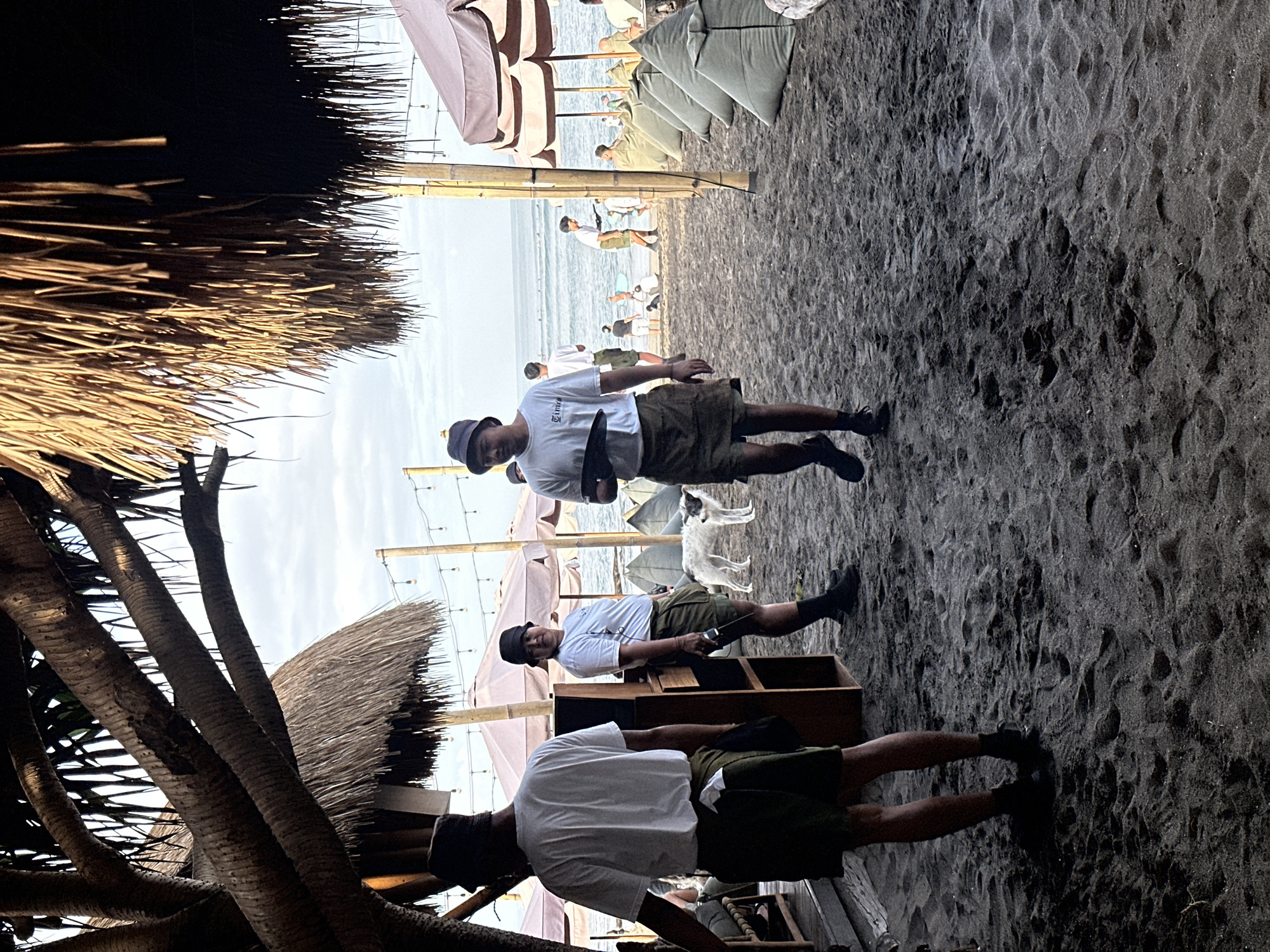 This image depicts a beachside setting in North Kuta, Indonesia, likely a restaurant or resort. In the foreground, three individuals, presumably staff, are visible. The person on the left is seen from the back, wearing a white t-shirt and dark shorts. To their right, a person wearing a white t-shirt and green shorts is carrying a wooden tray. Further to the right, another person in a white t-shirt and green shorts, wearing a bucket hat, is walking and holding a dark plate. A white dog stands near the person with the tray. The background shows a beach with sand, palm trees, thatched roofs, umbrellas, and beanbag-style seating. In the distance, the ocean with gentle waves is visible, with people and surfboards on the water. String lights are suspended between bamboo poles, suggesting an evening or late afternoon setting.