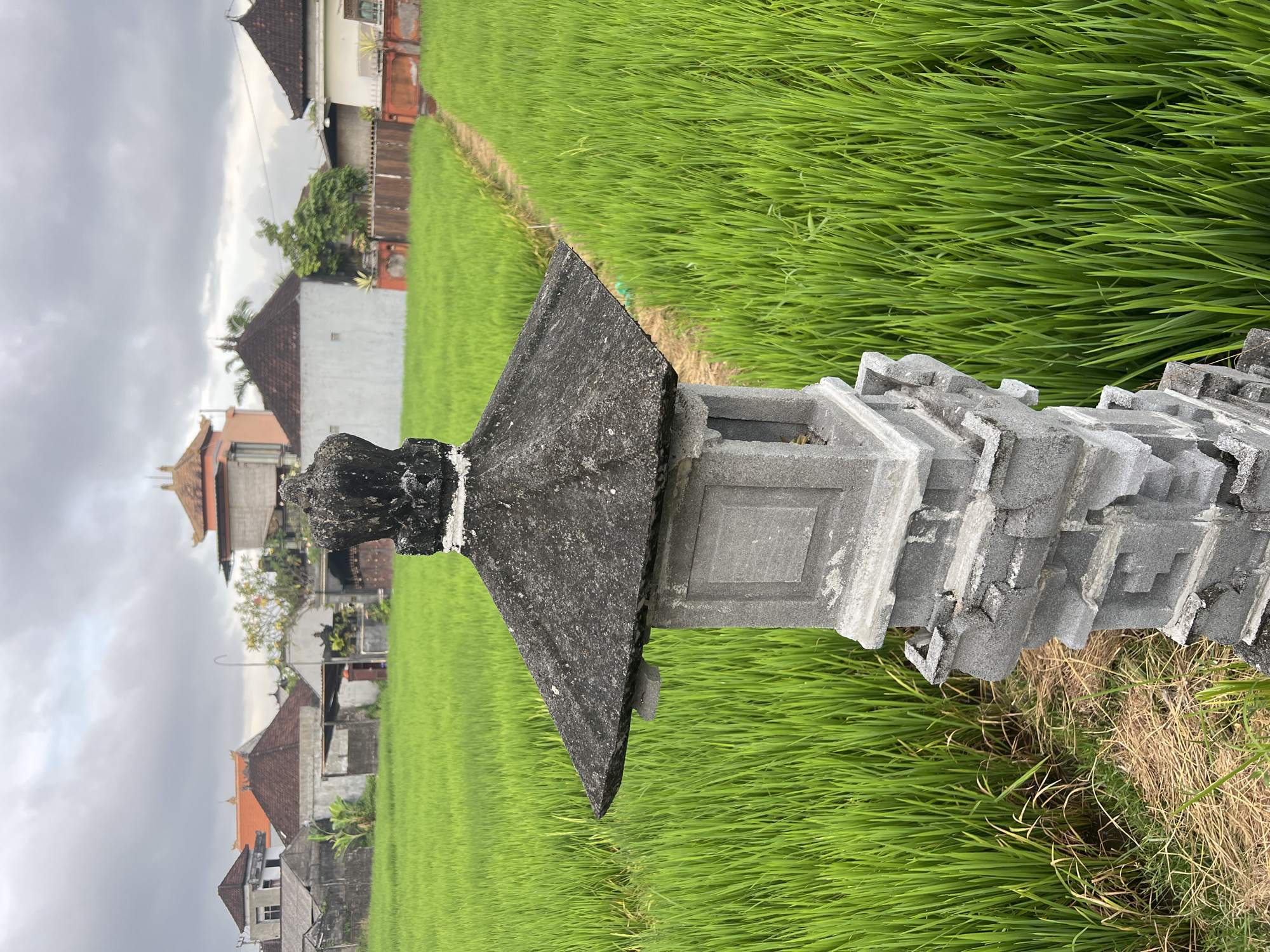 The image depicts a small, gray stone shrine or monument in a lush, green rice field. The monument has a tiered, geometric design and is weathered. In the background, there are several traditional Balinese houses with pitched roofs, and the sky is overcast. The location is likely in a rural or semi-rural area in Celuk, Indonesia, known for its rice paddies and traditional architecture. No people are visible in the image.