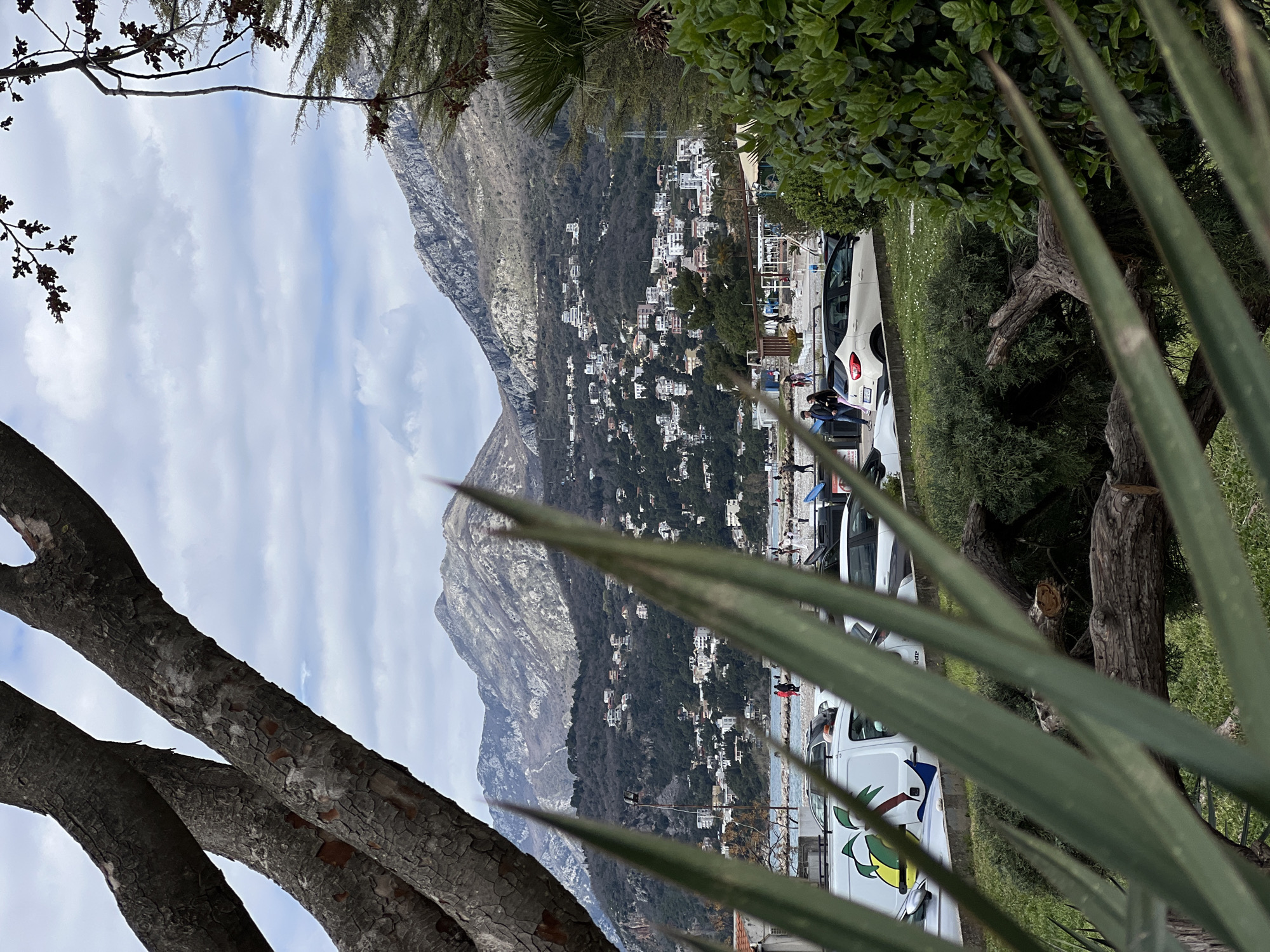 The image, taken in Bar, Montenegro, showcases a mountain backdrop dotted with white buildings and a partially obscured view of the sea. In the foreground, trees and other vegetation frame the view, with the bark of one tree prominently displayed on the left. A row of parked cars is visible along the edge of the road, with a few people walking along the sidewalk. The sky is overcast with striated clouds.