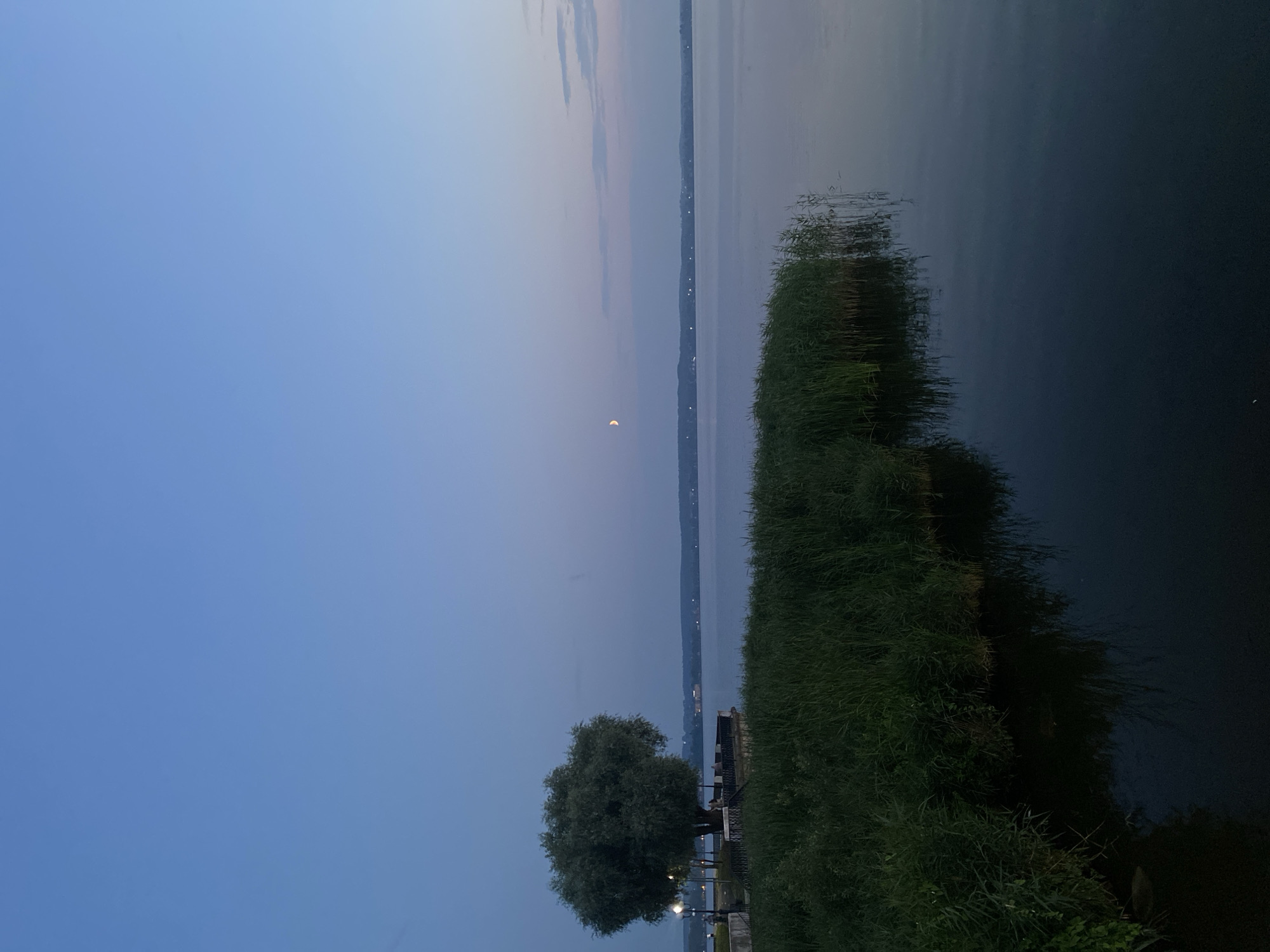 The image depicts a serene twilight scene by a body of water, likely a lake, in Votkinsk, Russia. A large, mature tree with dense foliage stands on the left side of the frame, casting a shadow on the paved walkway behind it. Several streetlights are visible, some illuminated, suggesting the area is a park or embankment. A metal railing lines a raised platform or embankment overlooking the water, where a few indistinct figures can be seen. The water itself is calm, reflecting the pale blue and lilac hues of the twilight sky. A patch of tall, green reeds grows along the edge of the water in the foreground, creating a natural boundary. In the distance, the opposite shore is visible as a dark line punctuated by faint lights, indicating a settlement. A crescent moon is faintly visible in the upper right quadrant of the sky, alongside wispy clouds. The overall atmosphere is peaceful and tranquil, characteristic of an evening by the water.