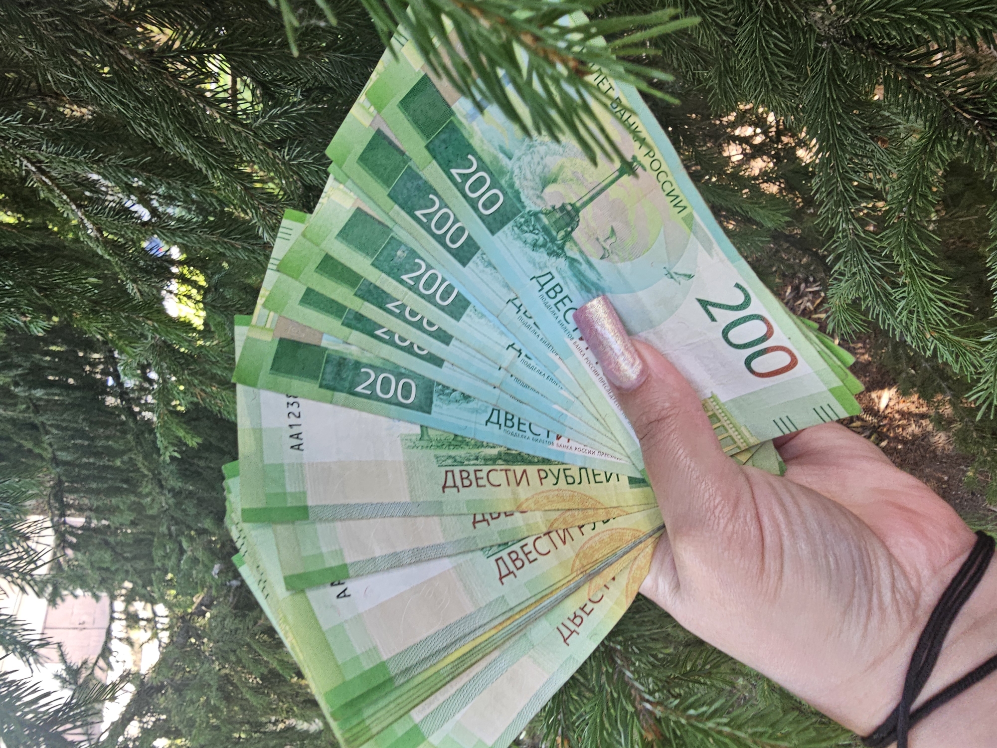 The image shows a hand holding a fan of Russian 200 ruble banknotes, partially obscured by the needles of a fir tree. The background consists of more fir trees and a building. The banknotes are predominantly green and blue, with some featuring a watermark and security thread. The hand has a glittery pink fingernail. The overall lighting suggests it is daytime. The location in Skadovsk, Ukraine, is not discernible from the image itself.