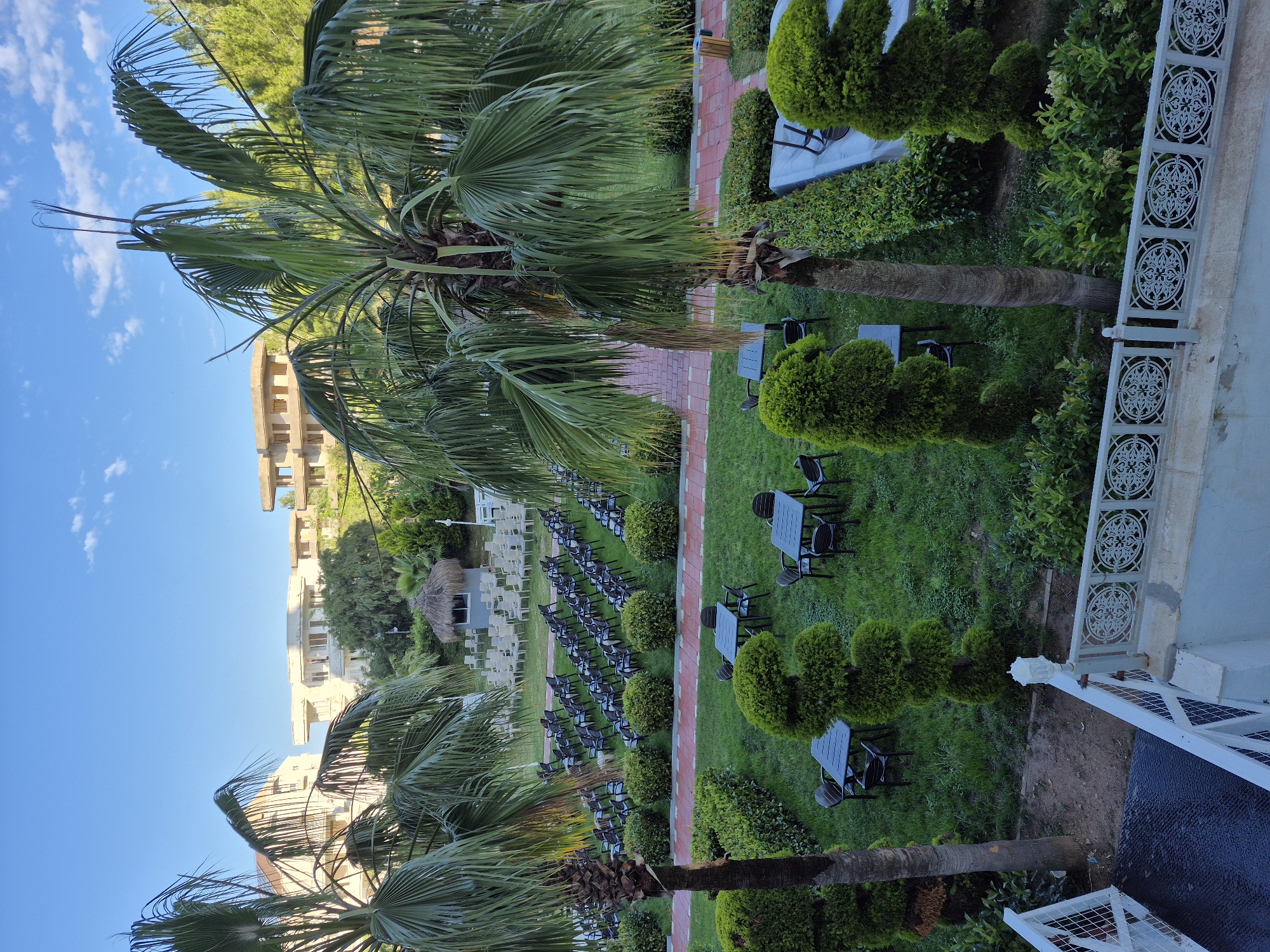 The image depicts a scene in Alanya, Turkey. The view is from an elevated position, likely a balcony or upper floor of a building. Several buildings are visible in the background, including a light-colored multi-story structure.
The foreground is dominated by lush greenery. Two palm trees frame the image on either side. A manicured garden includes rows of round shrubbery lining a brick pathway. There are several small tables with chairs set up on the grass, interspersed with the shrubbery. Further in the background, rows of chairs are arranged facing a small hut-like structure, suggesting a potential event or gathering space.
The sky is a clear blue with scattered clouds. The lighting suggests a daytime scene, possibly late morning or early afternoon. The scene is overall peaceful and well-maintained, likely a resort or hotel garden area.