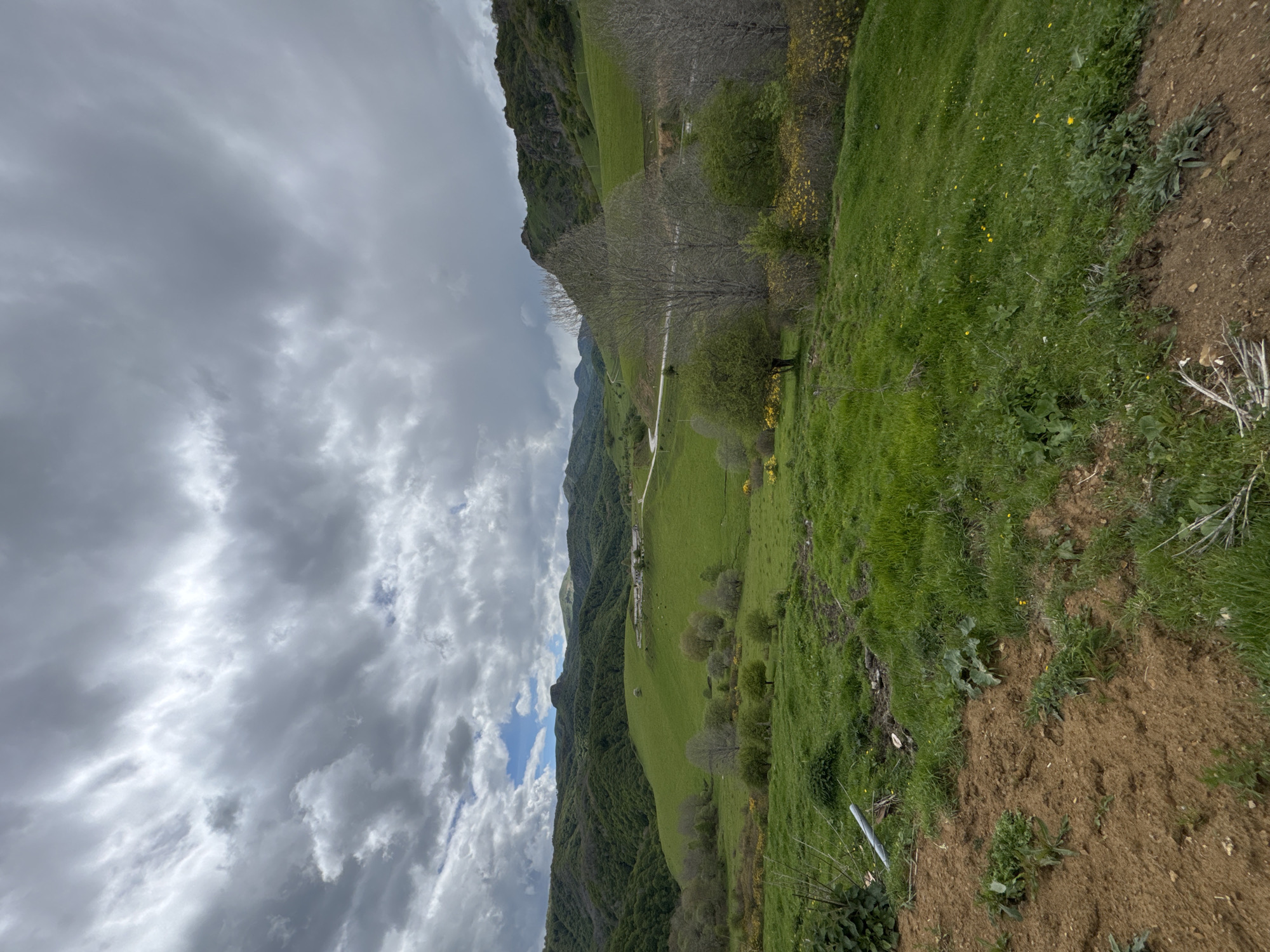 The image shows a landscape near Верхняя Мара, Russia. A field with green grass and some yellow flowers is visible on the right side of the frame. The terrain appears to be slightly sloped with some dirt patches. On the left, a forested mountain range extends into the distance. The sky is overcast with heavy, grey clouds. A road can be seen running through the valley between the mountains. Bare trees are visible in the foreground, suggesting it might be early spring or late fall.