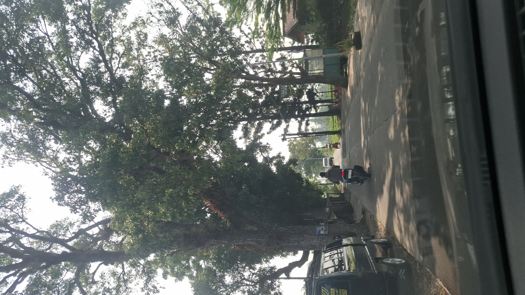 A street scene in Sukasari, Indonesia, features a paved road lined with large, mature trees. In the foreground on the left, a dark-colored van is parked. Further down the road, a person is riding a motorcycle, heading away from the viewer. A white van is visible in the distance on the road. To the right of the road, there are some buildings and what appears to be a small agricultural area with crops. The sky is bright and hazy, indicating daytime.