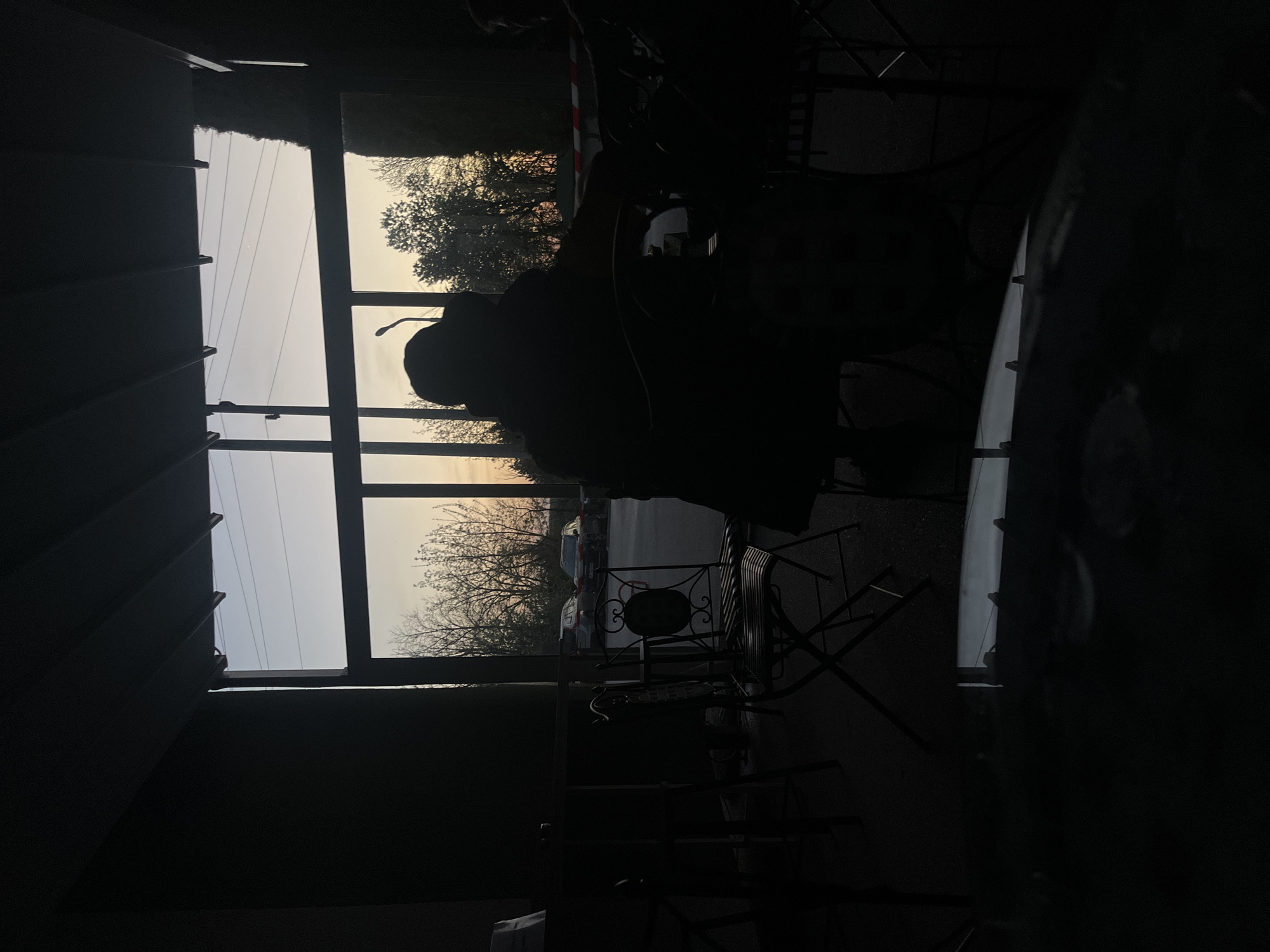 The image captures a high-contrast scene looking out from a very dark interior through large windows during either dawn or dusk. The interior is largely silhouetted, with indistinct dark shapes filling the foreground and left side, possibly blinds or building structures.
Through the multi-paned windows, a pale, yellowish-orange sky is visible, suggesting the early morning or late evening. Against this sky, the intricate, bare branches of trees are prominently featured, indicating a cold season like winter or early spring.
In the middle-right of the window view, a distinct silhouette of a person is visible, possibly wearing a hat or cap. They appear to be standing or sitting, looking towards the right of the frame. A street light fixture is also visible near the person. Below the trees, an outdoor seating area with metal tables and chairs, characterized by decorative scrollwork, can be seen. Further in the distance, a paved area or road is discernible, with the faint outline of a vehicle. Overhead power lines are visible against the sky in the upper left section of the window.
The scene conveys a quiet, contemplative atmosphere, highlighting the transition of light at the start or end of the day in an urban or semi-urban setting, likely in Pleven, Bulgaria. No visible text is present.