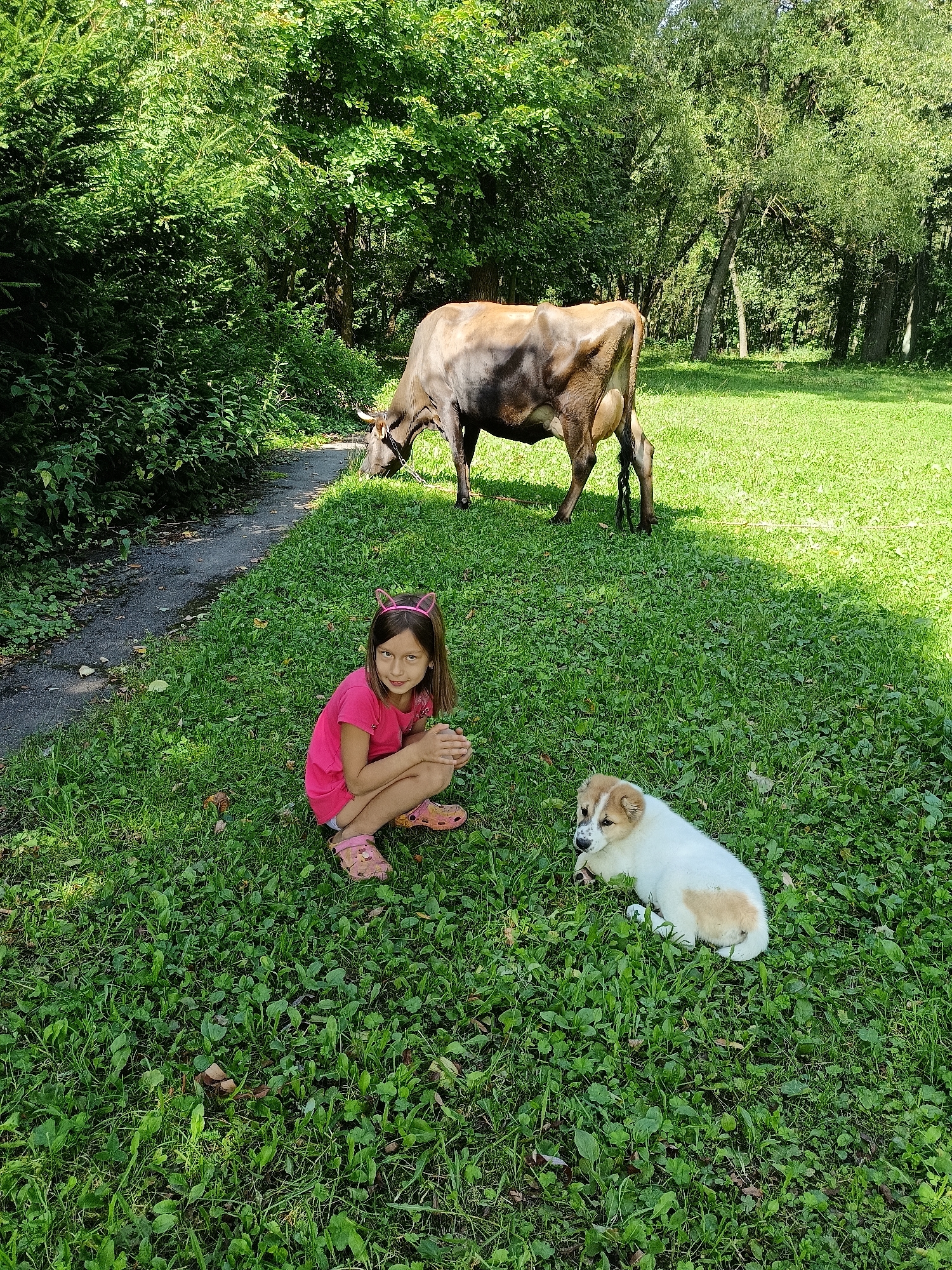 In Lagovskoe, Russia, a young girl with a pink headband featuring cat ears kneels on a grassy area. She is wearing a pink t-shirt and pink shoes. Beside her lies a puppy with white and light brown markings. In the background, a cow grazes on the grass. A paved path runs along the left side of the frame, bordered by lush green foliage and trees. The scene is illuminated by natural sunlight, casting shadows on the grass.