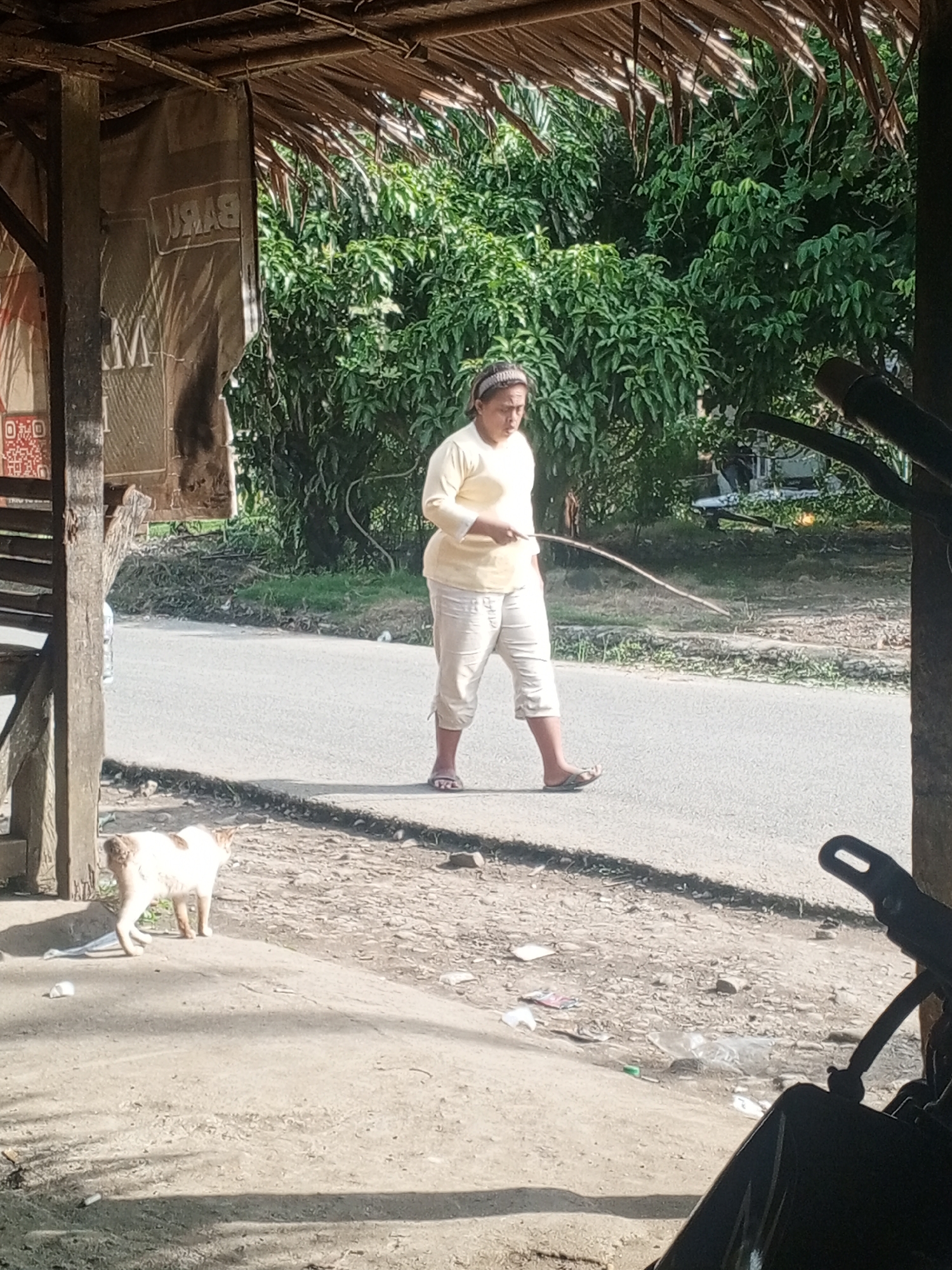 A woman wearing a light yellow long-sleeved shirt and light-colored cropped pants stands on a paved road. She has a thin stick in her right hand, extended to her side. She is also wearing a dark headband and flip-flops. To the left of the woman, on a dirt path, a white and brown cat stands facing away from the camera. Behind the cat, a wooden support post and a brown tarp are visible. The background consists of lush green trees. The ground is littered with various debris, including plastic. The scene appears to be outdoors in a semi-rural or suburban area. The presence of the paved road and the general setting are consistent with a location in Tanah Gara Hulu, Indonesia.