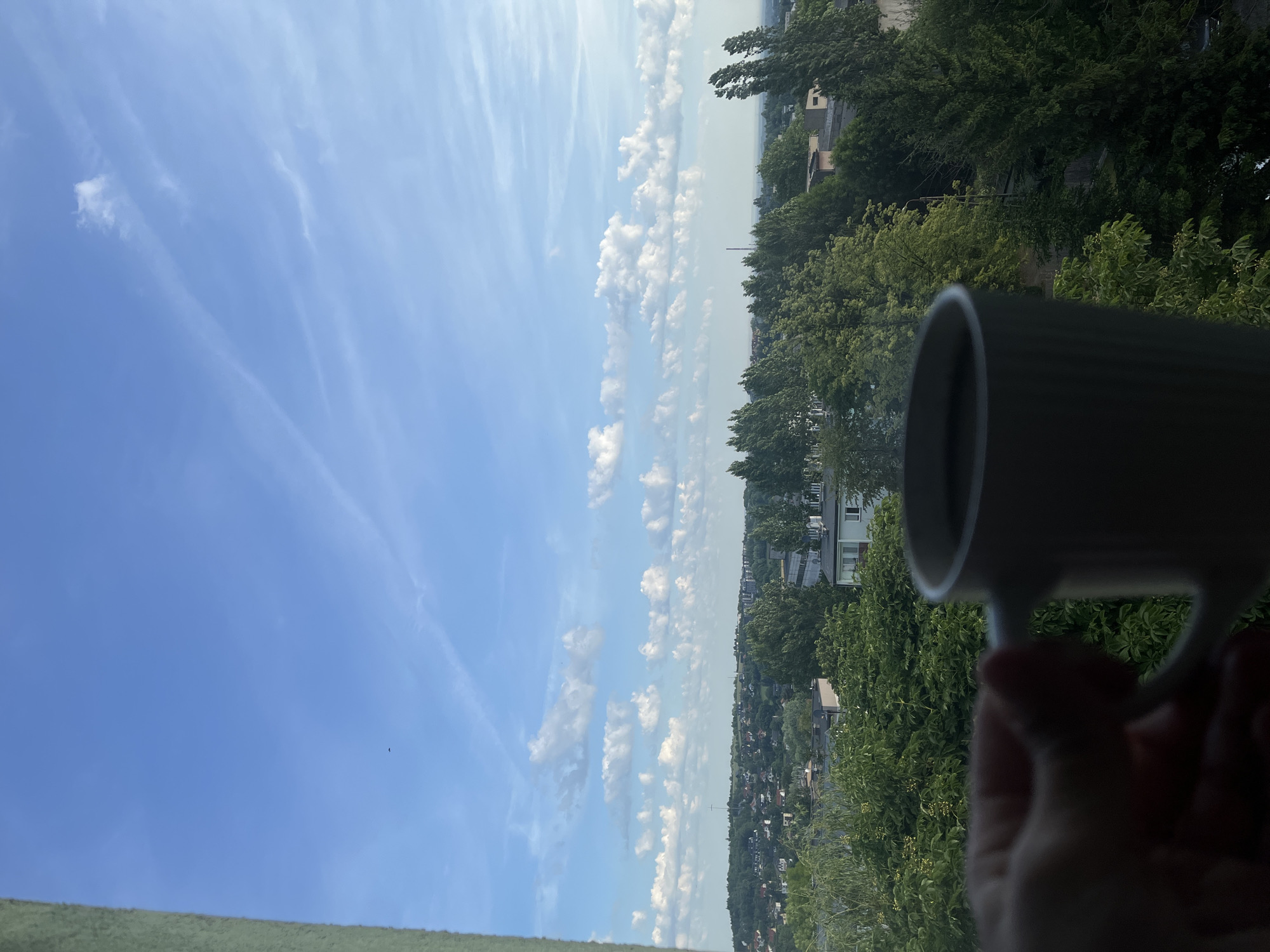 A hand holds a white mug of dark liquid, likely coffee or tea, in the foreground, positioned in the lower right quadrant of the image. The mug is partially obscuring a lush, green canopy of trees. Beyond the trees, a cityscape is visible, characterized by low-rise buildings and a distant horizon. The sky above is a vibrant blue, dotted with scattered white clouds, suggesting a clear day. The overall scene implies a moment of quiet contemplation or relaxation, possibly taken from a window overlooking the city.