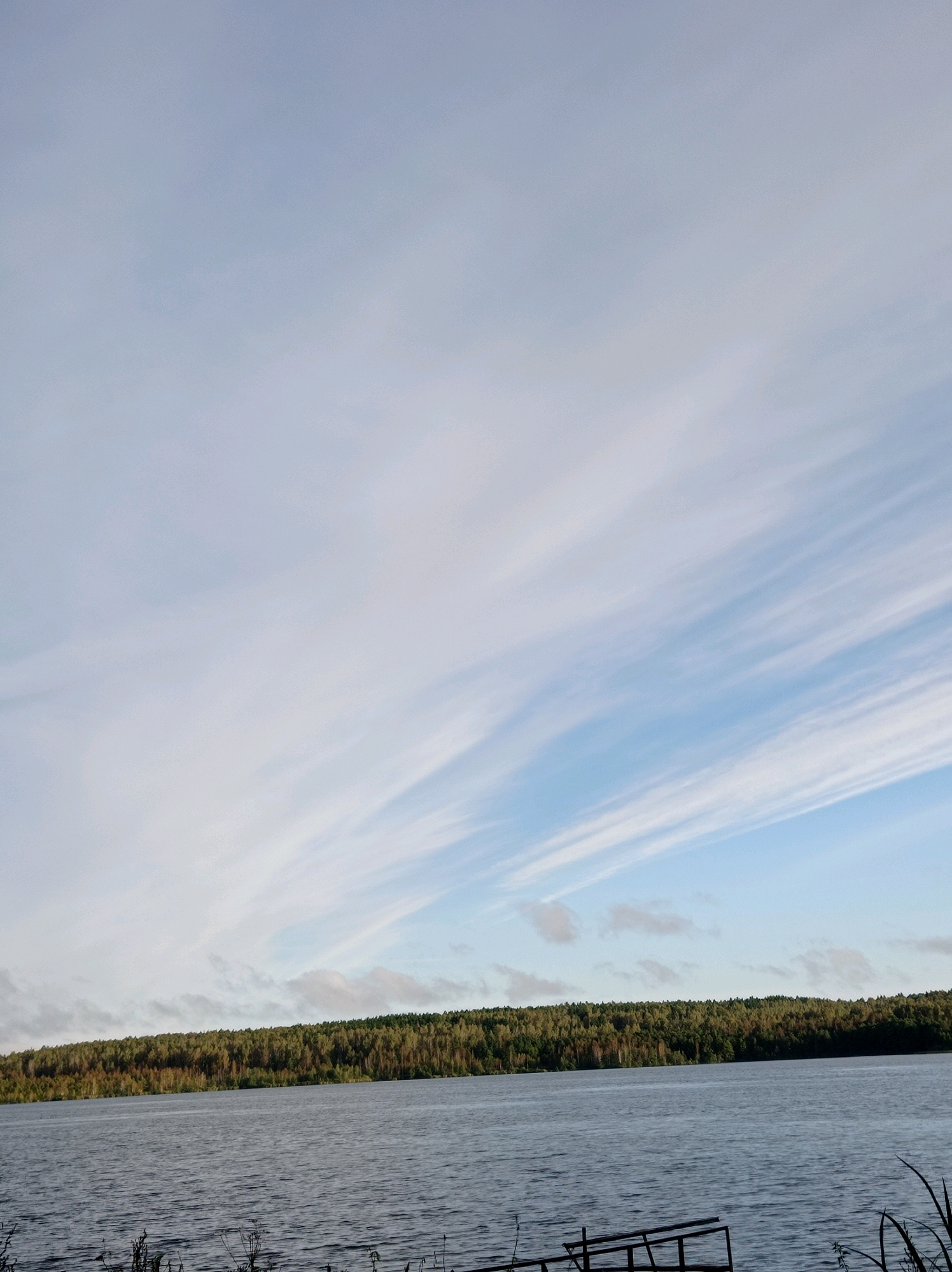 The image shows a serene natural landscape, likely on the outskirts of Degtyarsk, Russia, during daytime. The scene is dominated by a wide, calm body of water in the foreground, reflecting the sky. The water's surface is slightly rippled, suggesting a gentle breeze. Along the horizon, a dense, tree-lined shore stretches across the frame, its foliage a mix of greens and browns, indicating it might be autumn. The trees form a uniform, dark green band against the lighter background.
Above the tree line, the sky occupies the upper portion of the image. It is a pale blue, with wispy, elongated clouds streaking across it. These clouds are thin and elongated, oriented diagonally from the lower left to the upper right, creating a sense of movement and depth in the sky. The lighting suggests it is either early morning or late afternoon, as the light appears soft and diffused.
In the very bottom right corner, the edge of a simple wooden structure, possibly a small pier or dock, is visible, with dark, dry grass or reeds growing in front of it along the water's edge. The overall impression is one of peaceful solitude and natural beauty.