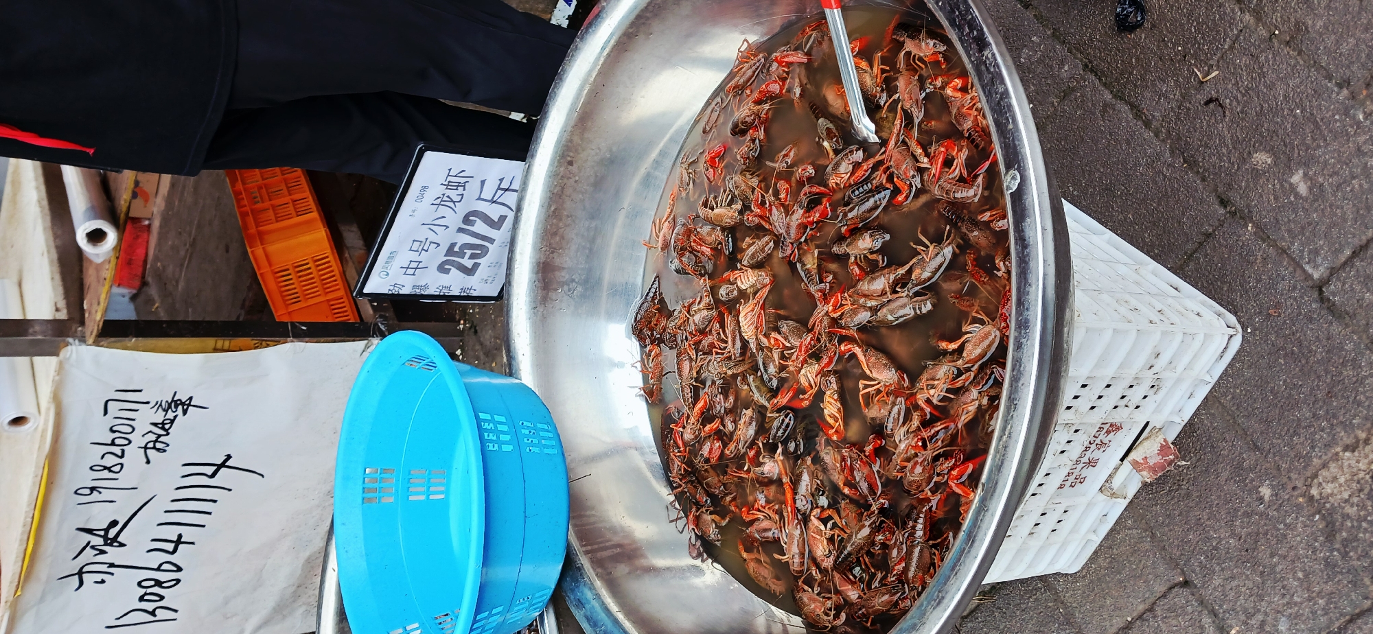A high-angle shot captures a scene at what appears to be a market stall in Jiulongpo District, Chongqing, China. In the center of the frame, a large, round, metallic basin is filled with water and numerous crawfish. A red-handled implement, possibly tongs, is partially submerged within the water. To the left of the basin, two light-blue plastic baskets are stacked on top of each other. Adjacent to the baskets, there is a sheet of white paper with handwritten Chinese characters and phone numbers in black ink. To the upper left, a person wearing a black jacket with a red accent is partly visible. Next to the person, an orange crate sits on a shelf or table. A small white sign displays the price of the crawfish in Chinese characters. The basin rests on a white plastic crate with square openings. The ground is paved with grey rectangular bricks.