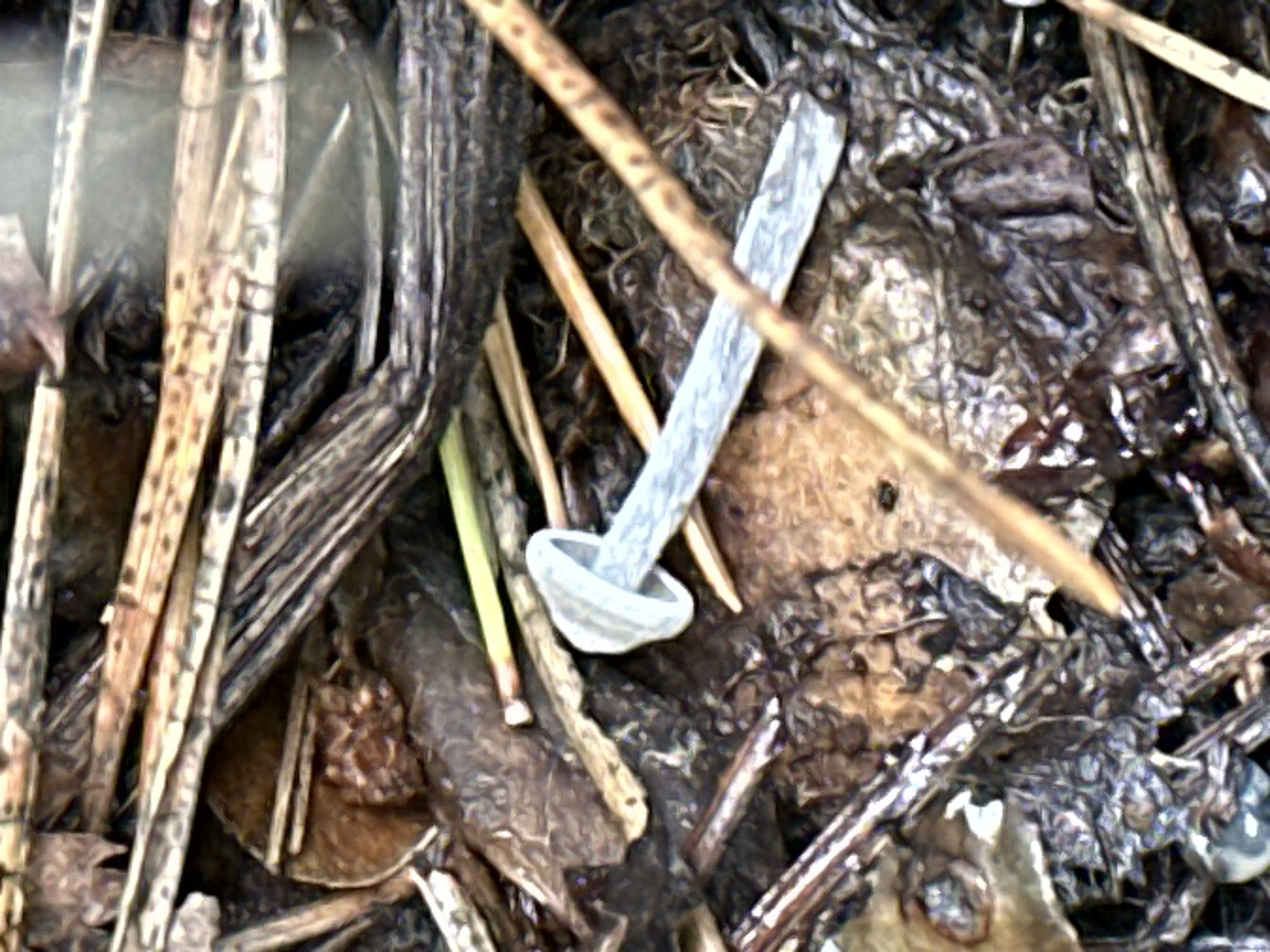 The image depicts a close-up, low-angle view of debris on the ground. The debris consists of dry plant matter, such as straw and leaves, along with a fragment of a white, plastic object with a light blue interior. This object resembles a cap or plug, possibly from a syringe or a similar medical device. The surrounding environment appears to be natural, with the presence of soil and decaying organic material, suggesting an outdoor setting. The specific location within Sokolovo, Russia, cannot be determined from the visual information provided in the image.