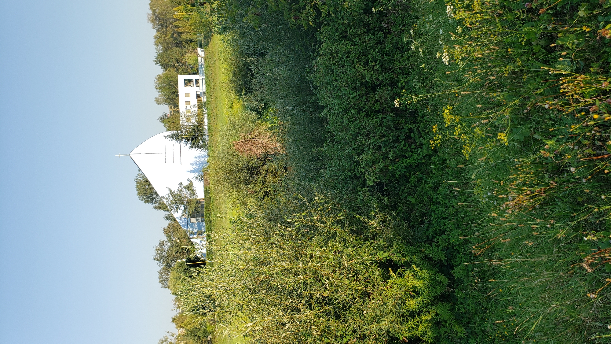 The image captures a modern white building with a distinctive pointed roof, topped by a cross, situated on a gentle slope. The building appears to be a church or a similar religious institution. It is surrounded by lush green foliage, including trees and dense bushes, creating a naturalistic setting. The foreground is filled with tall grass and wild flowers, suggesting a park or a semi-wild area. In the background, more trees and what appear to be other buildings are visible. The sky is clear and blue, indicating a sunny day. Based on its architectural style and the presence of a cross, this building is likely the Evangelical Church of the Holy Trinity in Prešov, Slovakia. The scene depicts a serene and well-maintained environment.