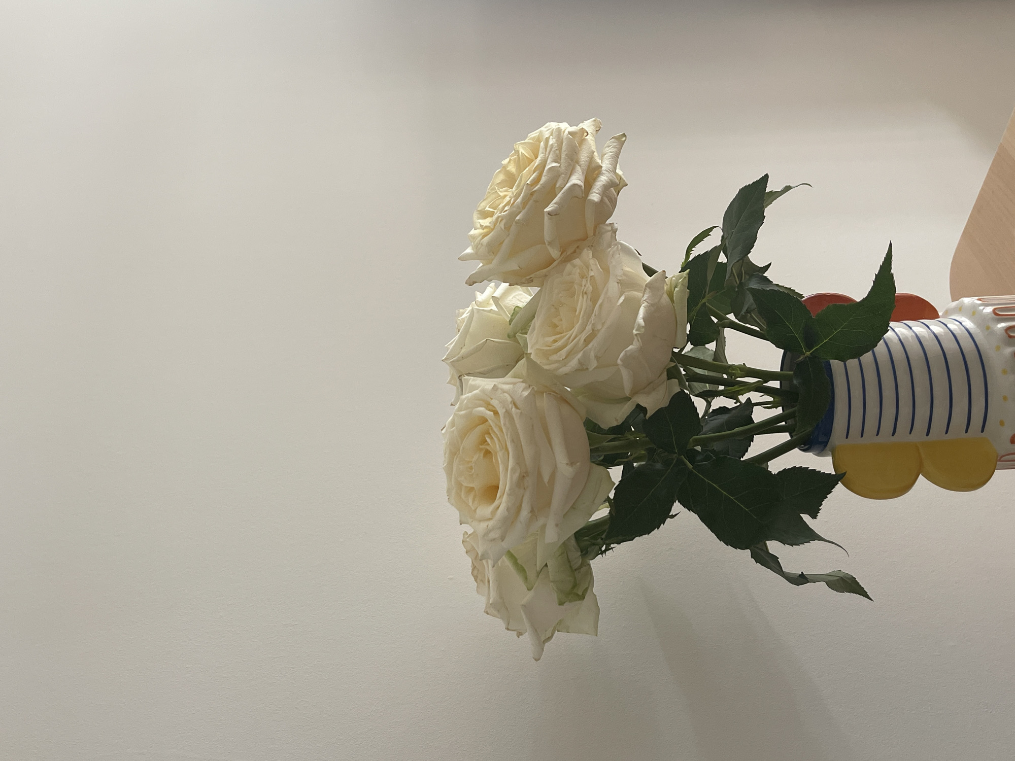 The image displays a bouquet of white or very light cream roses, arranged in a distinctive vase, set against a plain, light-colored wall. The entire image is rotated 90 degrees clockwise, making the flowers and vase appear to be oriented horizontally from right to left.
There are approximately five to six visible rose blooms, each featuring multiple soft, delicate petals. Some of the outer petals show slight browning or drying at the edges, indicating a natural state. The roses are accompanied by several dark green leaves, which provide a rich contrast to the pale flowers.
The vase holding the roses is patterned and appears to be made of ceramic or similar material. It has vertical blue stripes on a white background in its upper section, below which there are prominent yellow, scalloped shapes. A hint of red or orange is visible near the top right edge of the vase, possibly part of its design or another object.
The background is a uniform, plain light gray or off-white wall, largely empty, which emphasizes the floral arrangement. Subtle shadows are cast on the wall by the flowers and leaves, suggesting soft, indirect lighting. The scene conveys a sense of calm and decorative simplicity. No people or text are visible in the image.