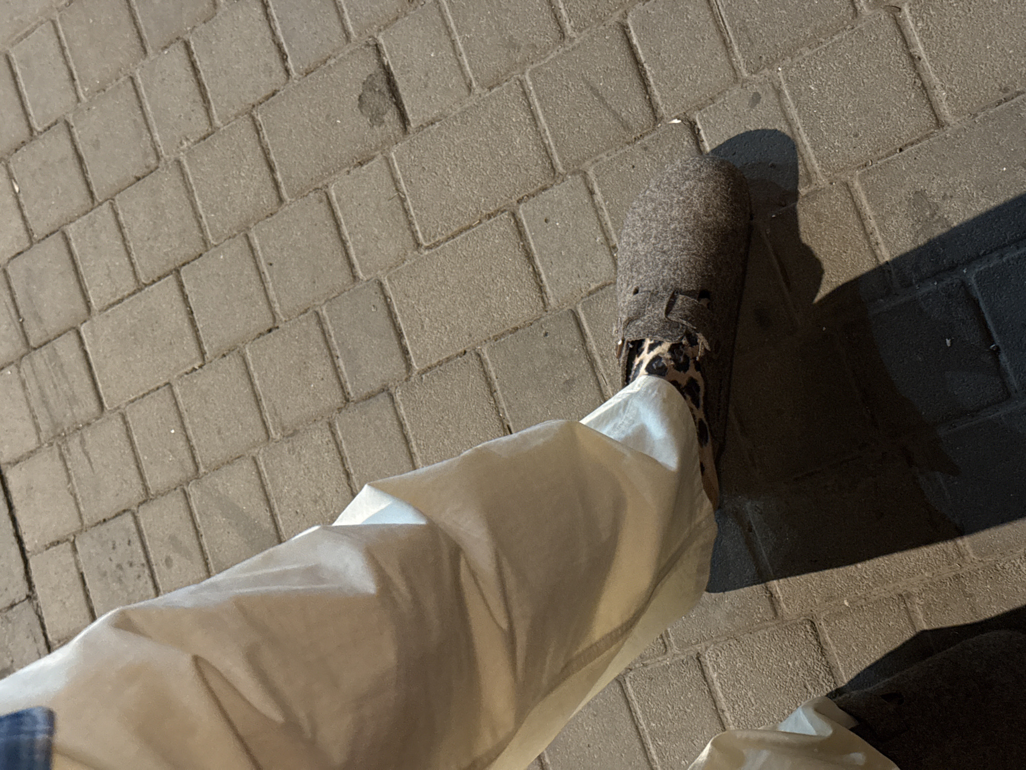A top-down view shows a person's leg, clad in baggy white pants, standing on a paved surface, likely a sidewalk. The visible shoe is a grey, wool-like clog with a leopard-print insole/lining. The paving consists of rectangular grey bricks. Part of the sidewalk is in shadow. The location is indeterminable from the image.