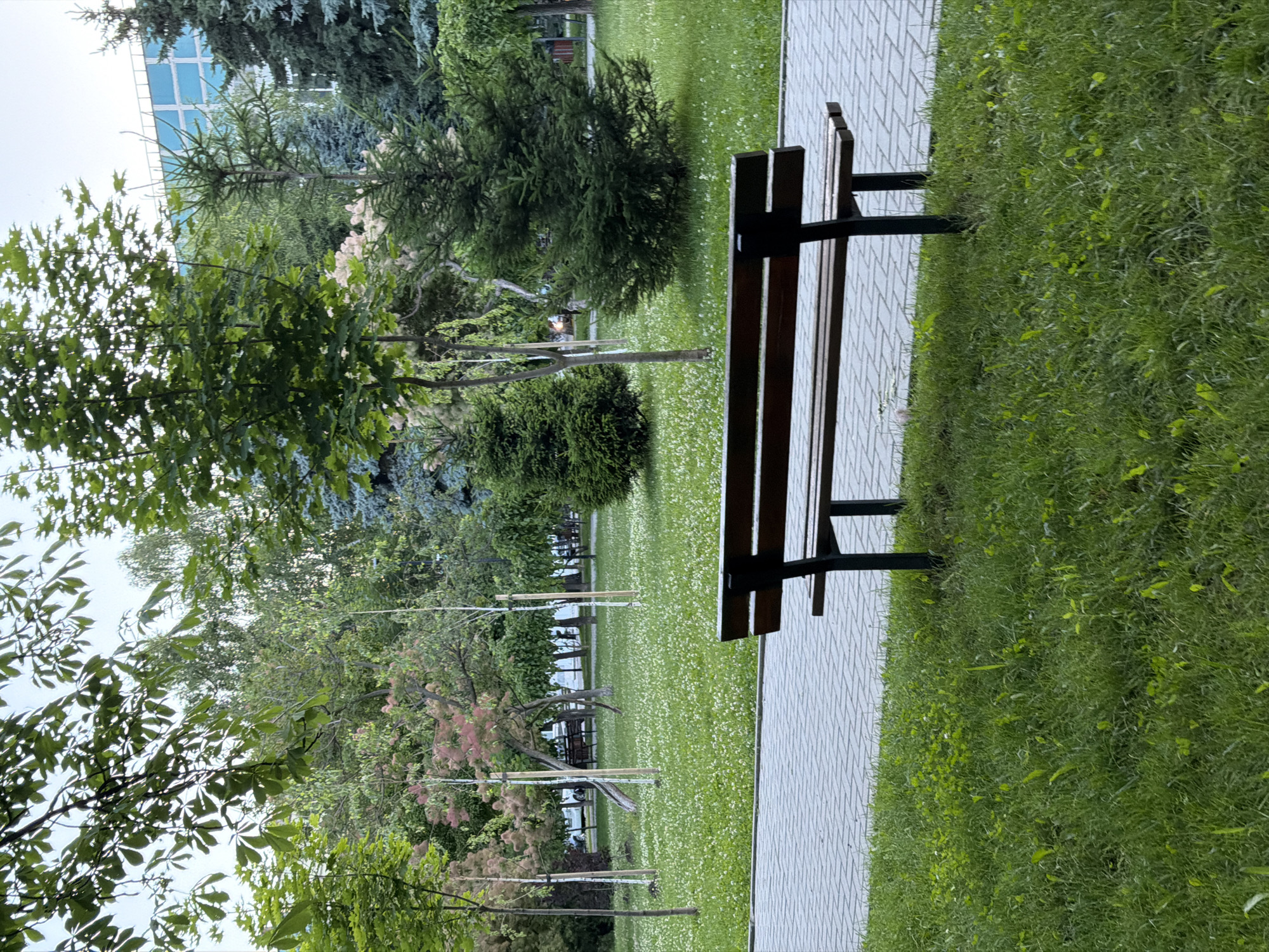 A park scene in Chișinău, Moldova, features a wooden bench on the right side, positioned on a paved walkway. Beyond the walkway is a well-maintained lawn dotted with small white flowers, and further back, several trees and bushes create a lush, green backdrop. In the distance, a modern building with blue-tinted windows is visible behind the foliage. The time of day appears to be overcast, suggesting a cloudy or possibly rainy day. The overall atmosphere is serene and peaceful, with no people visible in the frame. The focus is on the natural elements and the man-made structures within the park.