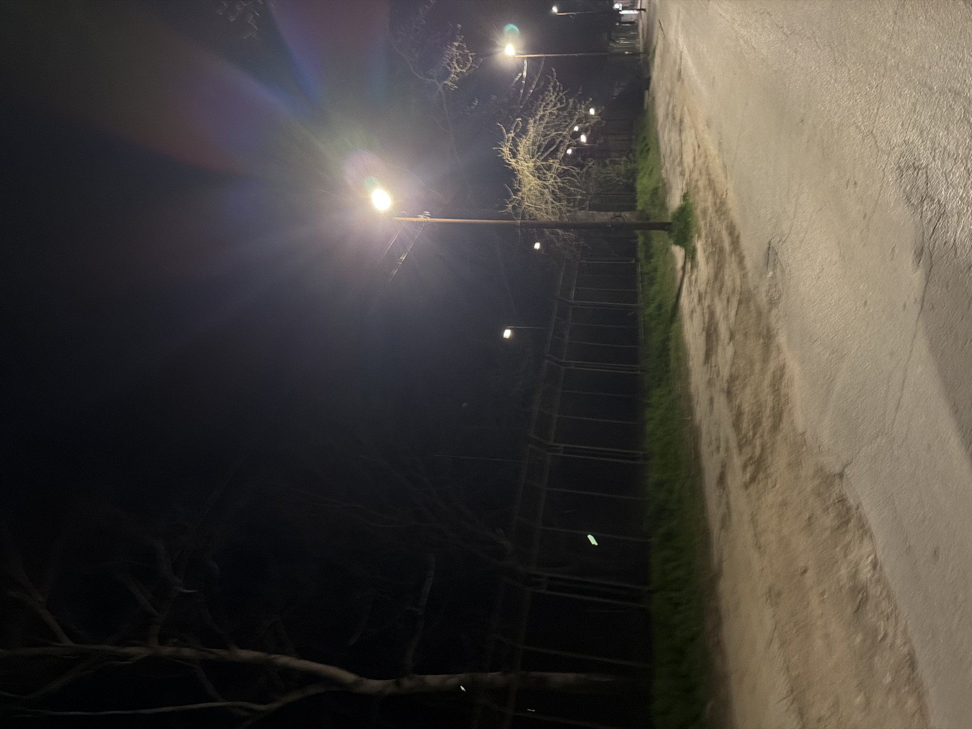 Night scene in Panagyurishte, Bulgaria, showing a street with a sidewalk on the right. Streetlights illuminate the scene, casting light across the road surface. A fence runs along the left side of the sidewalk, separating it from a dark, grassy area. Trees are visible in the background and along the roadside. No people are visible.