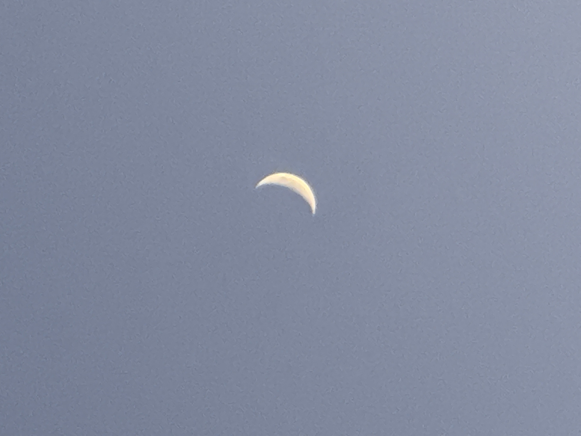 The image depicts a crescent moon against a pale blue sky. The setting appears to be outdoors during daylight hours, given the color of the sky. The crescent moon is small and positioned near the center of the frame. There are no other visible objects or subjects in the image. No specific location or activity related to Berezovka, Russia, can be determined from the visual content.