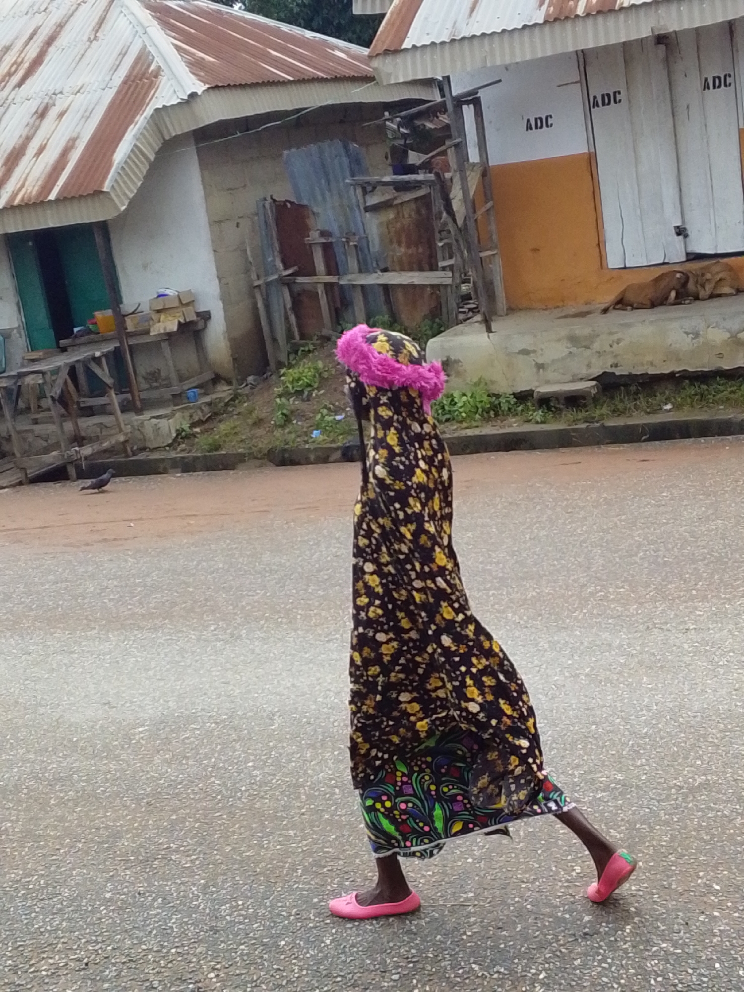 In Serti, Nigeria, a person walks on an asphalt road wearing a dark floral dress with a bright pink trim around the headscarf. The dress has yellow floral patterns and a colorful embroidered hem. The person is also wearing pink flat shoes. In the background, there are buildings with corrugated metal roofs and walls. One building has "ADC" stenciled on its white doors. Two dogs are resting on the ground in front of this building. To the left, a pigeon stands on the road. The environment appears to be an urban or semi-urban area.