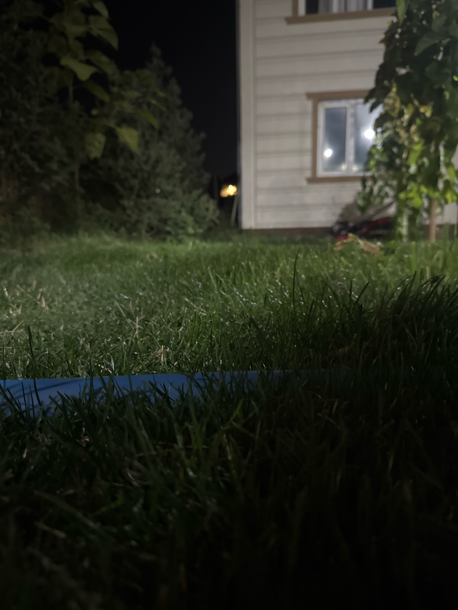 The image shows a dimly lit outdoor scene at night, focusing on a grassy lawn in the foreground with a blue object partially visible at the bottom. In the background, a house with siding and a window reflecting interior light is visible. There are also trees and foliage on the left and right sides of the frame. The overall atmosphere is dark and quiet, suggesting a residential area. The image does not contain any identifiable landmarks or context that would place it specifically in the city of Кашка-Суу, Kyrgyzstan.
