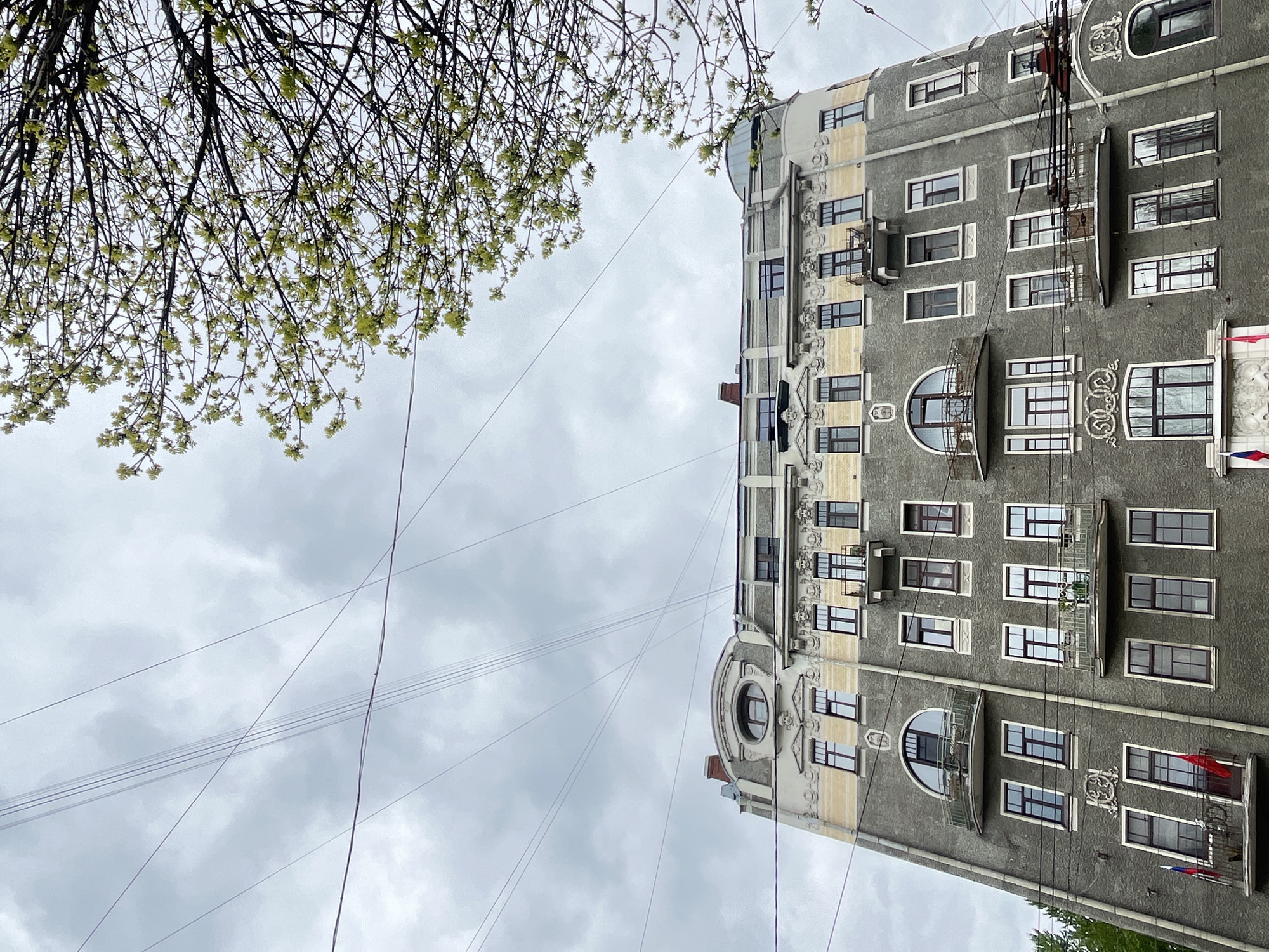 The image shows a multi-story building in Saint Petersburg, Russia, viewed from a low angle. The building is characterized by its gray facade with decorative elements, including arched windows and balconies. A tree with budding leaves is visible in the upper left corner of the frame. Overhead power lines crisscross the sky. The sky is overcast.