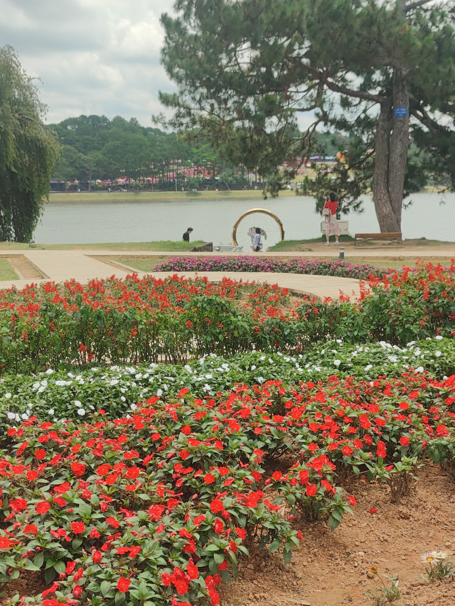 The image captures a scenic view of Xuan Huong Lake in Da Lat, Vietnam, on an overcast day. In the foreground, vibrant red and white flowers are meticulously arranged in garden beds, creating a colorful border. Beyond the flowers, a paved pathway winds through the park. In the middle ground, a serene lake stretches out, reflecting the muted sky. On the opposite shore, a lush green forest blankets the rolling hills. A large pine tree stands prominently on the right side of the frame, with a young woman in a red top and patterned skirt posing for a photo near its base. A child in a blue shirt is also visible near a large, golden circular archway. A black dog is seen in the distance, walking on the grass. The overall atmosphere is one of natural beauty and peaceful leisure.