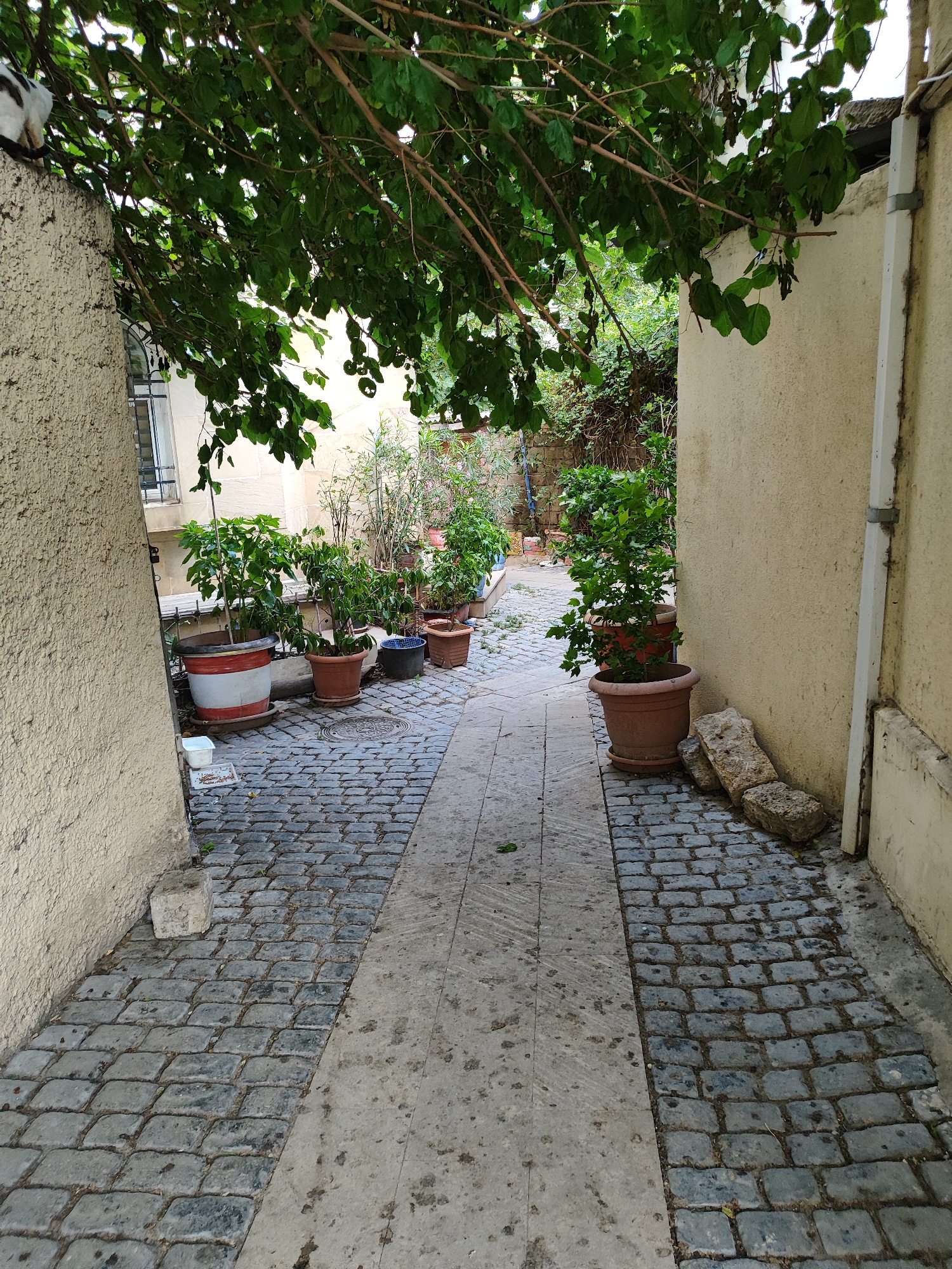 The image shows an outdoor alleyway with cobblestone paving on either side of a concrete path. The alley is lined with potted plants and trees. There are two buildings visible, one on the left with a textured beige wall and another on the right with a smooth beige wall. The alley is covered by tree branches overhead, casting shadows. In the foreground, on the left side, a single large stone block rests on the cobblestones. On the right side, near the wall, are three irregularly shaped stones.