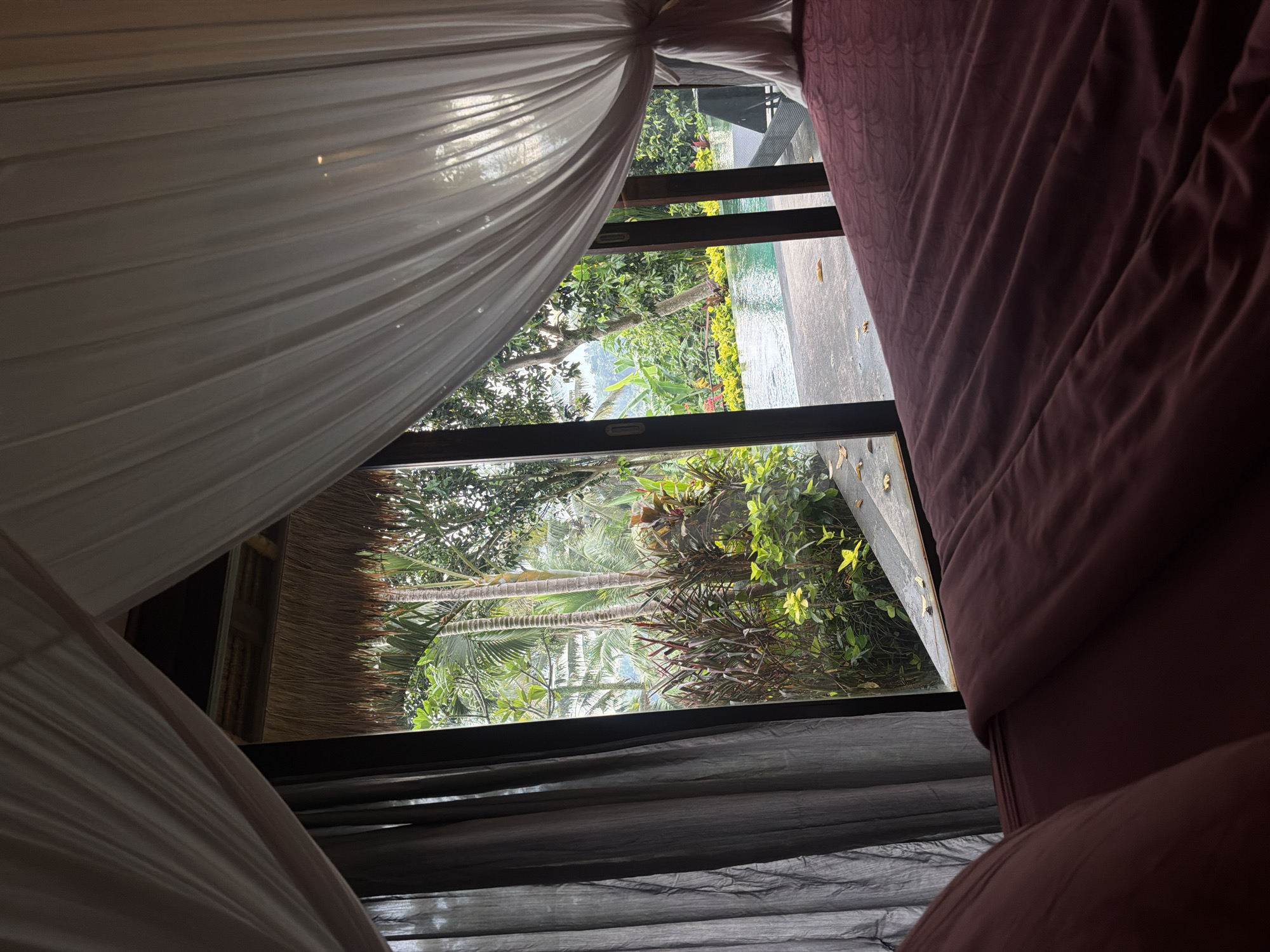From within a room in the Ubud District, Indonesia, a view is framed by curtains and a window. Outside, a lush tropical landscape includes trees, vegetation, and a thatched roof structure. The presence of a swimming pool suggests a resort or upscale property. The room's interior features bedding and draped curtains, adding to the tropical ambiance. The scene conveys a sense of tranquility and connection to nature.