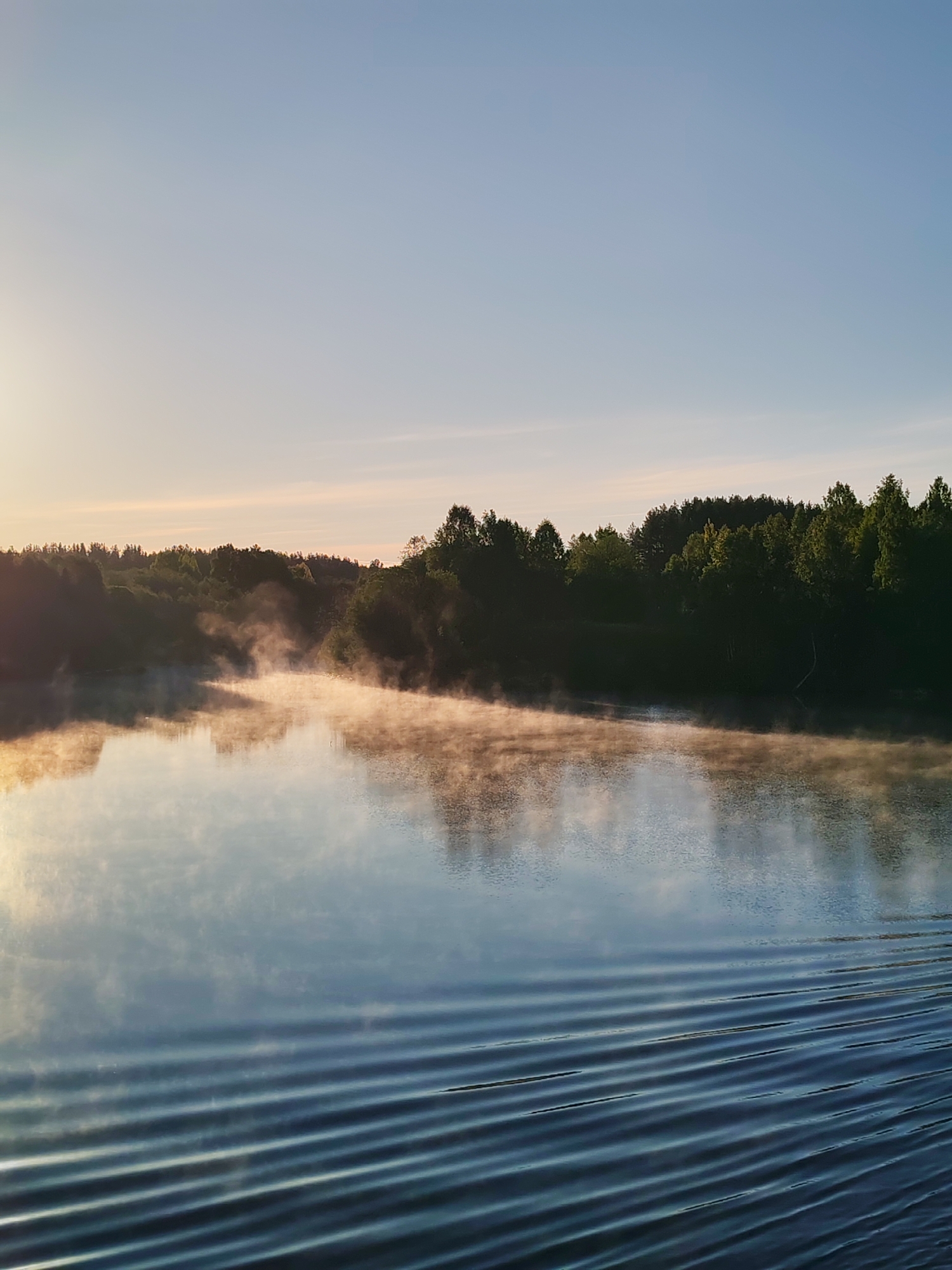The image captures a serene natural landscape, likely a river or lake, at sunrise or very early morning. The scene features a body of water in the foreground and midground, with a dense line of trees forming the far bank.
The activity taking place is the quiet emergence of a new day, characterized by a soft, warm glow from the rising sun, which is partially visible on the far left, illuminating the left side of the sky and casting light across the water. A significant amount of mist or fog is rising from the surface of the water, particularly dense near the tree line and diffusing as it stretches towards the viewer. This mist is beautifully lit by the low sun, giving it a golden hue.
Notable details include the time of day, strongly indicated as early morning by the presence of mist and the soft, warm light. The sky above transitions from a pale golden-yellow near the horizon to a clear, light blue overhead, with subtle wisps of cloud. The water reflects the sky and the dimly lit trees, and prominent, parallel ripples cut diagonally across the foreground, suggesting recent movement, possibly from a boat that has just passed. The trees on the far bank are dark silhouettes against the glowing sky in some parts, while others are touched by the sunlight, showing their green foliage. The overall atmosphere is one of tranquility and natural beauty.
There is no visible text in the image. The location context provided is Старое Петровское, Russia, suggesting this is a typical Russian natural landscape.