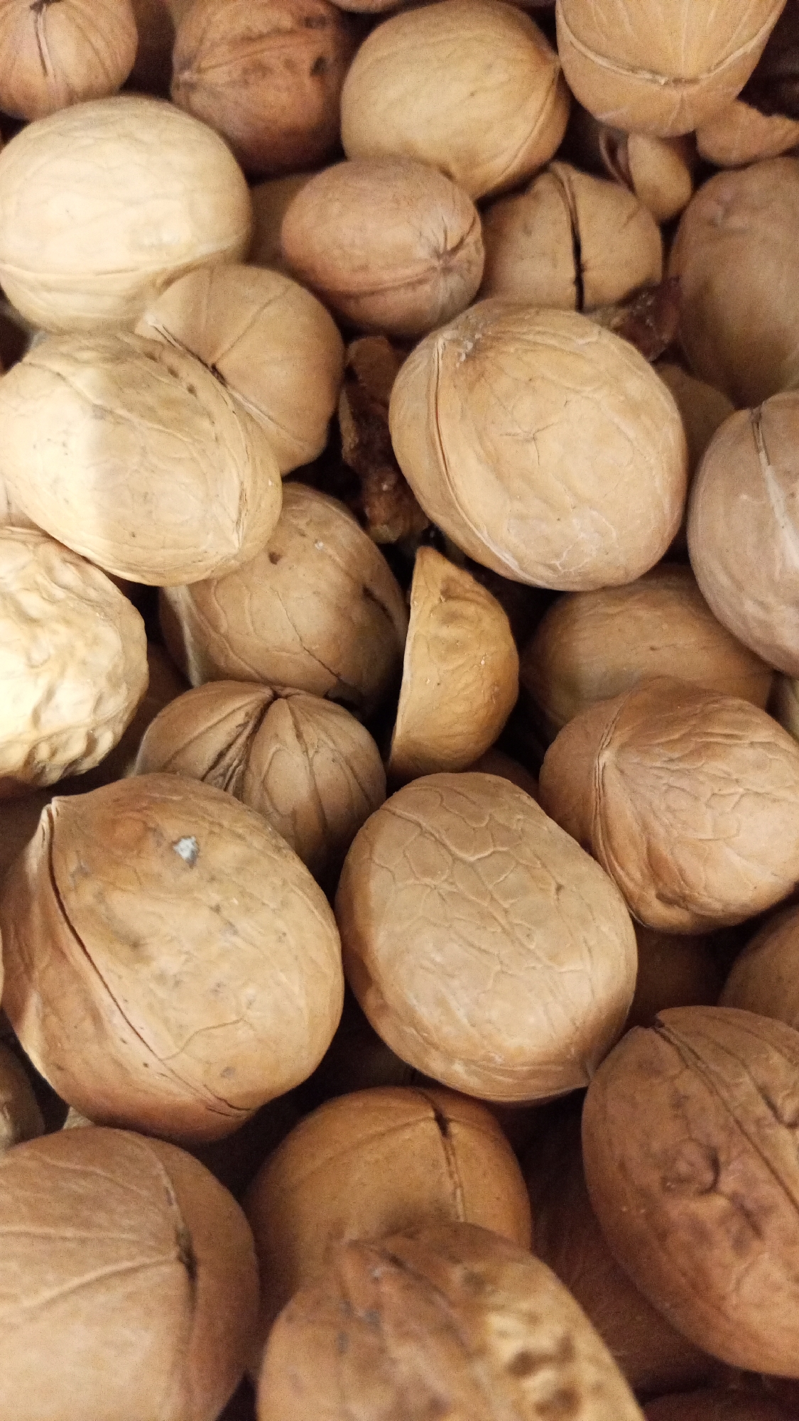 The image shows a close-up view of a collection of walnuts. The walnuts are mostly in their shells and vary in color from light tan to dark brown. One walnut is broken in half. The composition fills the frame, leaving no visible background details. The image provides no information about the location or the city of Юдино, Russia.
