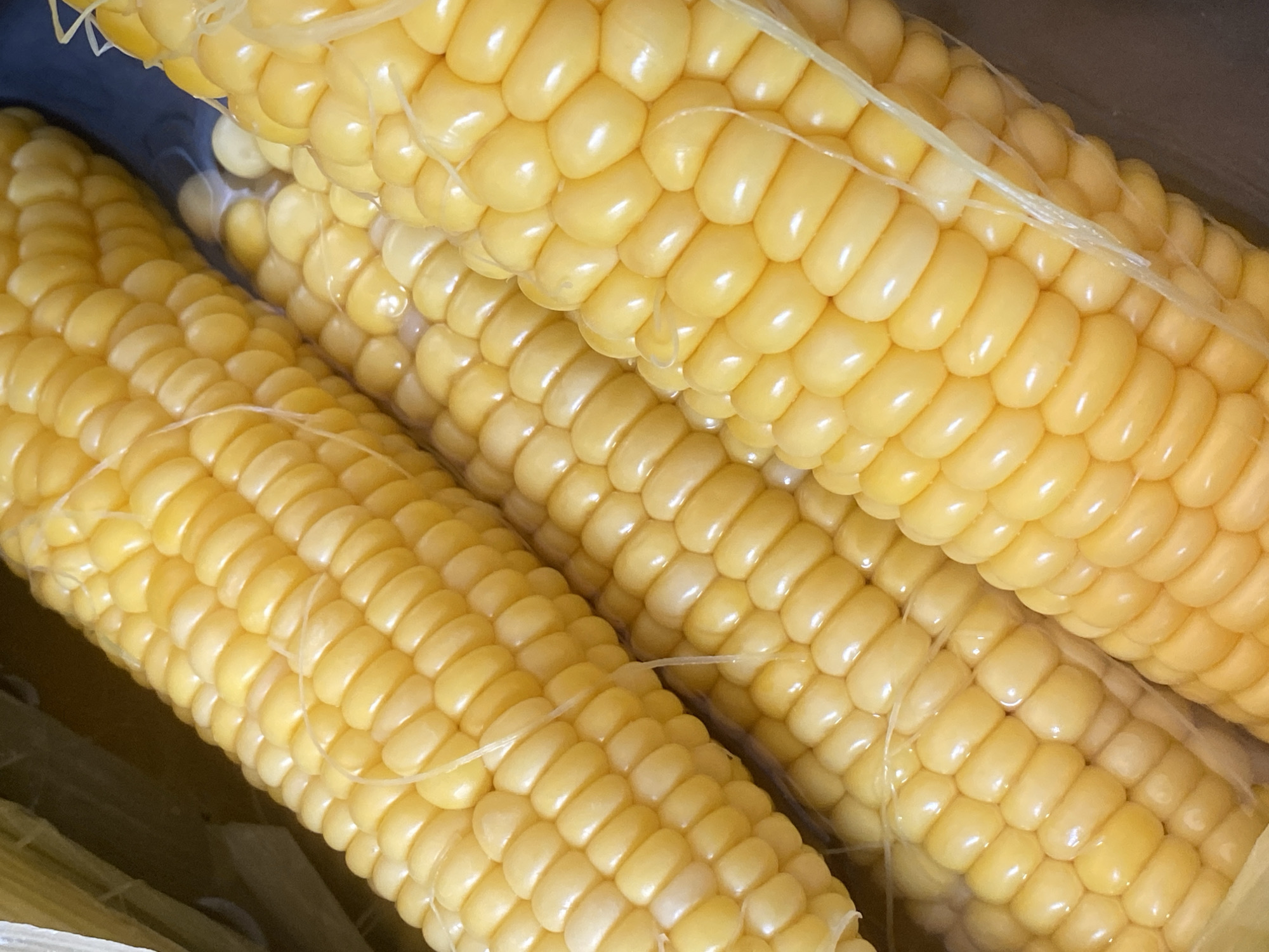 The image is a close-up, top-down view of several cobs of corn. The corn is bright yellow and appears to be fresh, with some silk strands still visible. The kernels are plump and tightly packed. The background is dark and out of focus, suggesting the corn is in a bowl or pot. There are no people or any discernible environmental features that would indicate a specific location within the city of Cairaclia, Moldova.