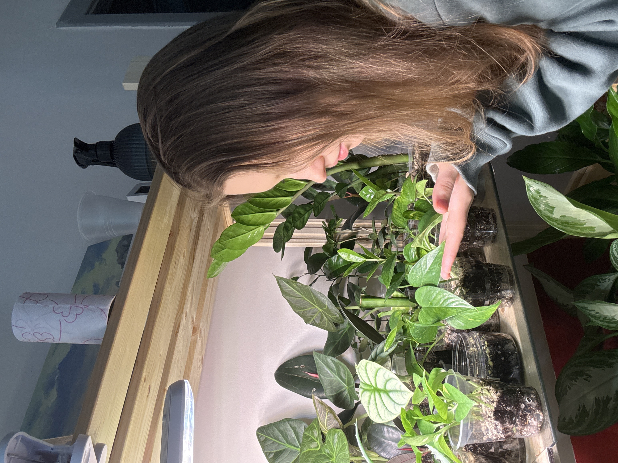 A young woman with long brown hair, wearing a blue-grey sweatshirt, is bending over a collection of potted plants. The plants are in clear plastic containers or jars and arranged on a wooden shelf. The background includes a wall painted in light colors, possibly with artwork or decoration. There is also a light fixture and other miscellaneous items such as a roll of toilet paper visible on the shelf. Location cannot be determined from the image provided.