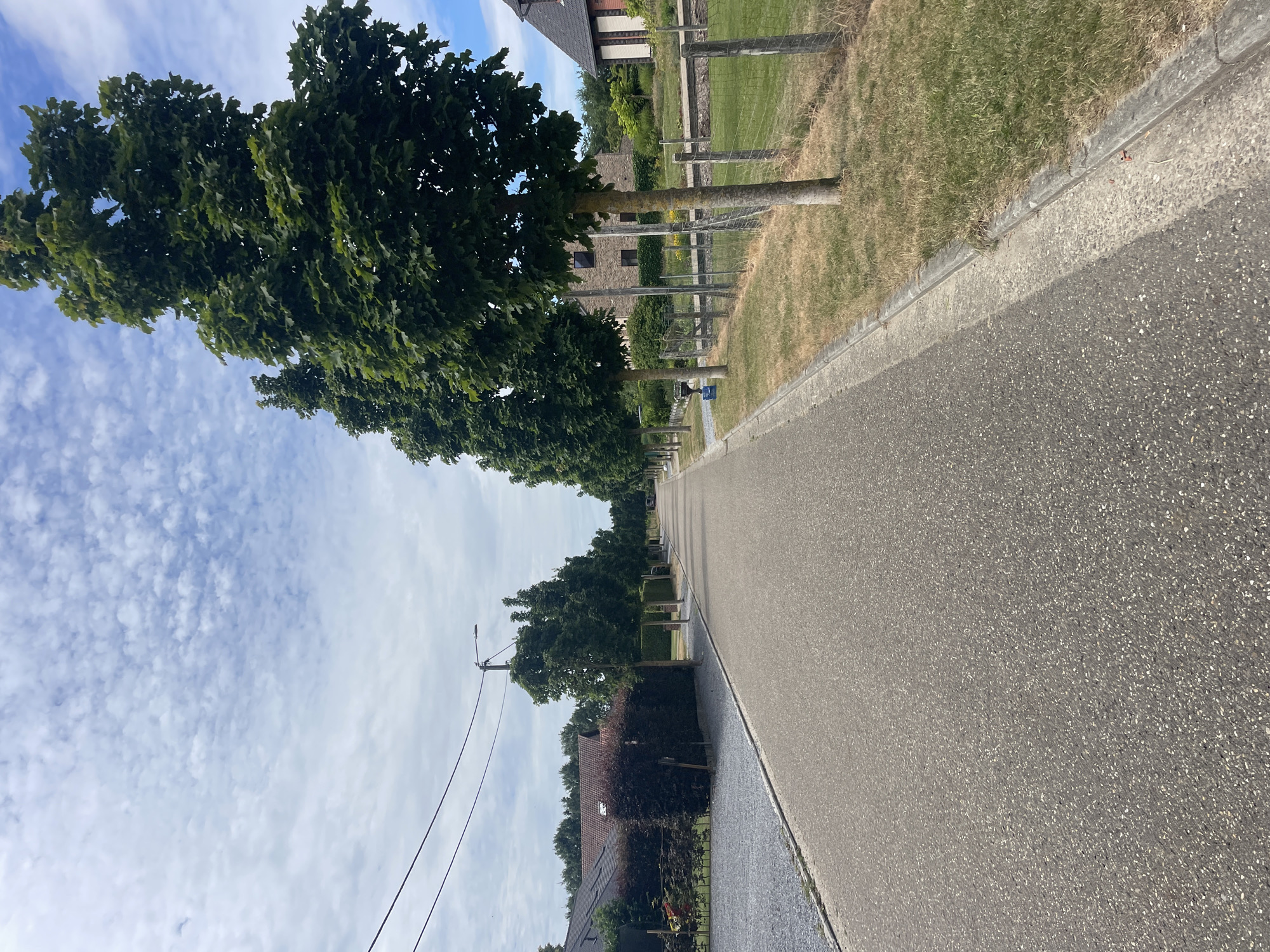 The image shows a paved road lined with trees and houses in Diepenbeek, Belgium. The road is asphalt, with a concrete curb on the right side. On the left side of the road, there is a gravel driveway and a hedge. On the right side, there is a lawn with a fence and trees. In the background, there are houses and more trees. The sky is blue with white clouds. The scene appears to be a residential street on a sunny day.