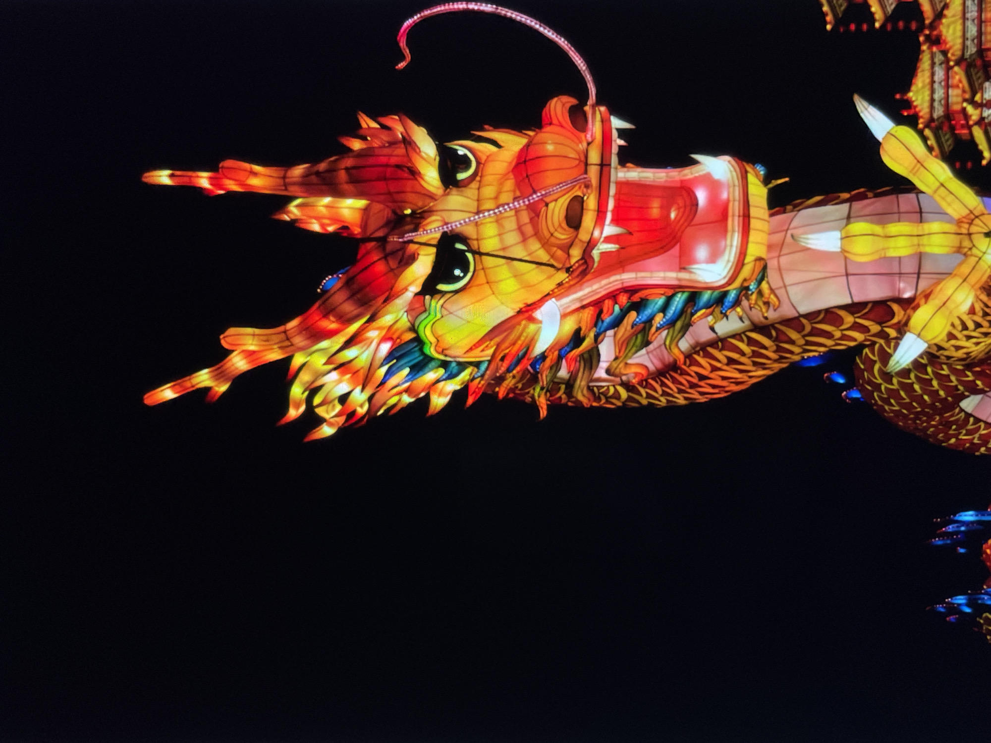 A close-up, low-angle shot depicts a large, illuminated Chinese dragon lantern against a black background, likely at night. The dragon head, predominantly red, orange, and yellow, features visible scales, large eyes, and a mouth open, displaying pointed teeth. The dragon's body, also colorful, shows intricate scale details and a clawed leg reaching towards the viewer. The environment is dark, emphasizing the lantern's glow.