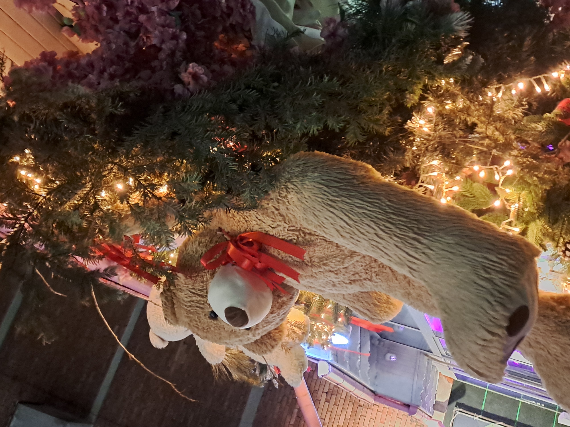 The image shows a large, stuffed reindeer decoration hanging upside down from a garland of greenery and Christmas lights. The reindeer is brown with a white muzzle and dark nose. It has red ribbon antlers. The garland includes pink flowers and pine branches with warm white fairy lights. The background includes the exterior of buildings with brick and stucco walls. Based on the context, the image is likely taken in Veliko Tarnovo, Bulgaria.