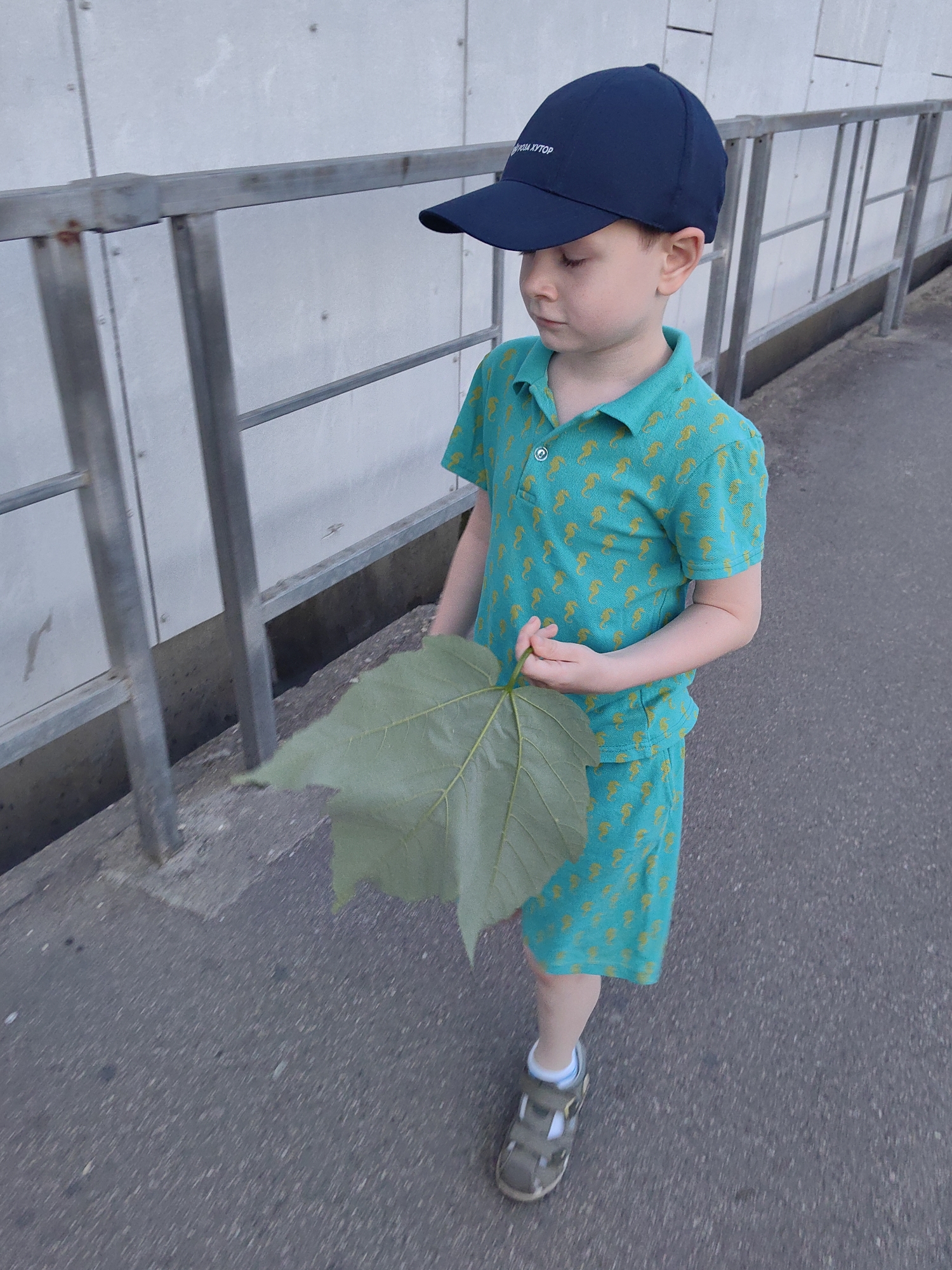 A young boy wearing a dark blue baseball cap, a turquoise polo shirt with a seahorse pattern, and matching shorts, walks on a paved surface. He is holding a large green leaf in his right hand. The boy is also wearing grey sandals with white socks. In the background, a metal railing runs along a light-colored wall. The scene appears to be outdoors.