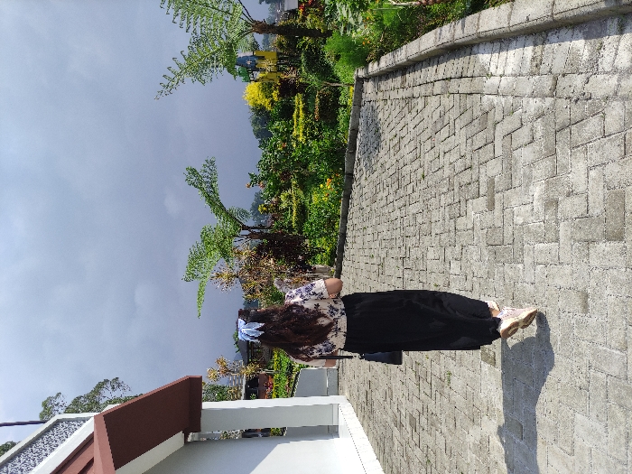 A young woman with long dark hair is walking on a paved walkway in front of a building in Kecamatan Pujon, Indonesia. The woman is wearing a long black skirt, a white shirt with a floral pattern, a blue ribbon in her hair, and pink sneakers. She is carrying a black bag on her shoulder. The woman is walking away from the camera. There is a building on the left side of the image and a garden on the right. The walkway curves to the right and leads to a garden with trees and plants. The sky is overcast. The coordinates of this location are latitude: -7.854, longitude: 112.454.