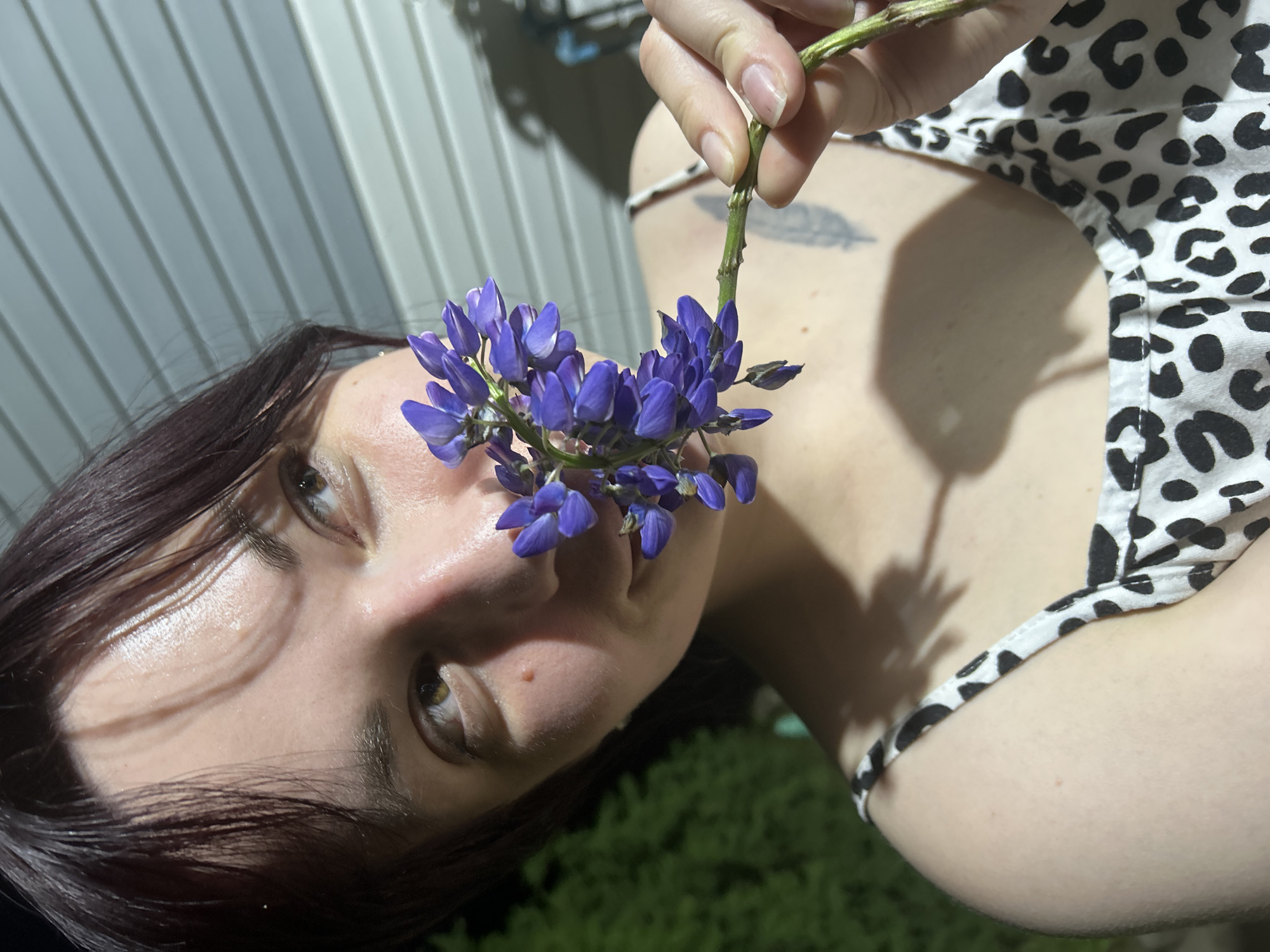 A young woman with dark hair and brown eyes is holding a purple flower stem with multiple blossoms near her face. She is wearing a white and black leopard print dress. The background is a lightly colored, horizontally paneled wall, with some greenery visible on the left. The image is lit from the front and slightly from the side, casting shadows on her face and the wall.