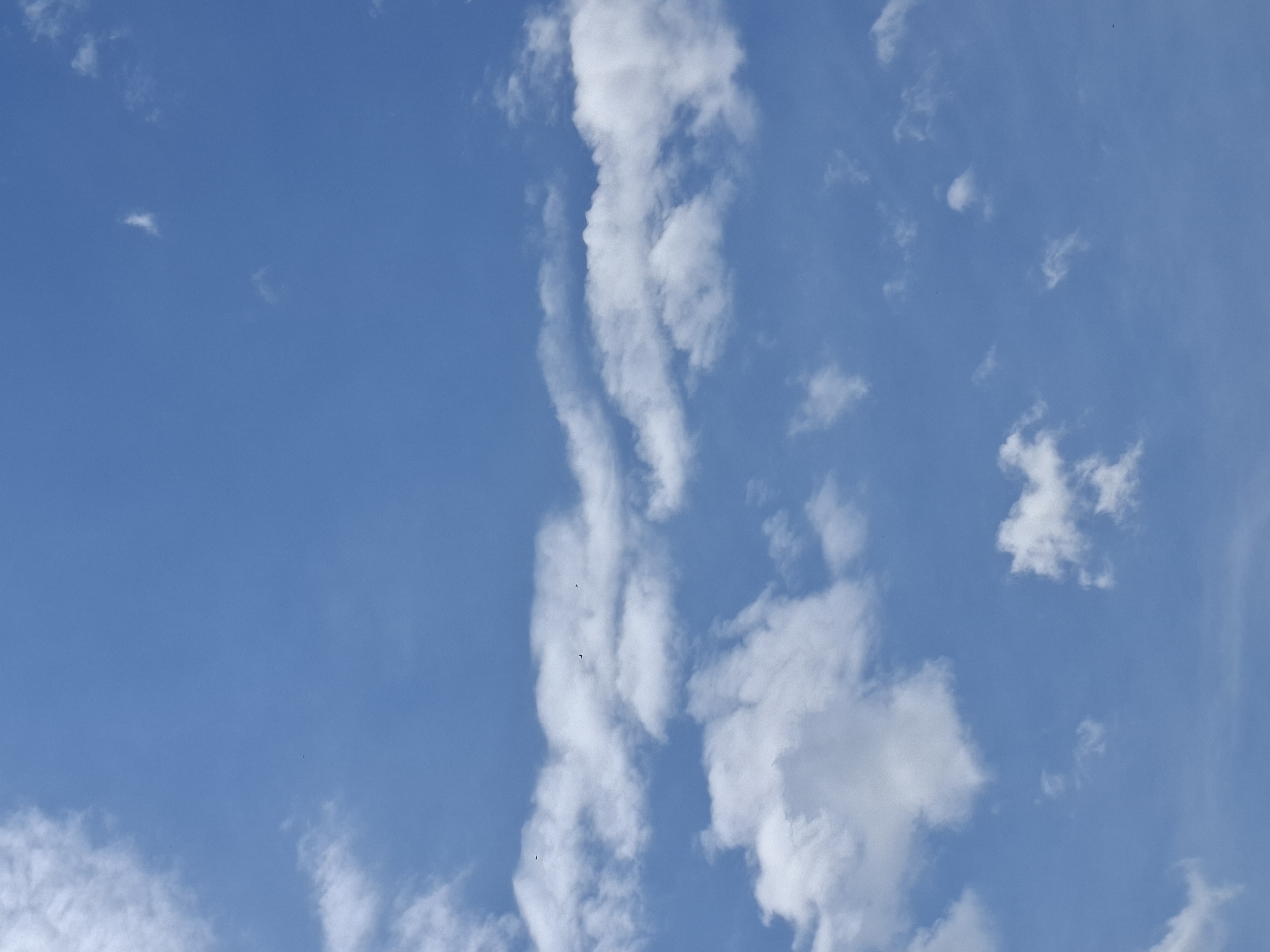 The image presents a bright, daytime sky in Plovdiv, Bulgaria. Predominantly clear blue sky fills the frame, interspersed with various cloud formations. A prominent, vertically oriented column of elongated, white clouds dominates the center of the image, with smaller, scattered cumulus clouds appearing throughout the rest of the sky. Several tiny, dark spots are visible, likely distant birds or insects in flight.