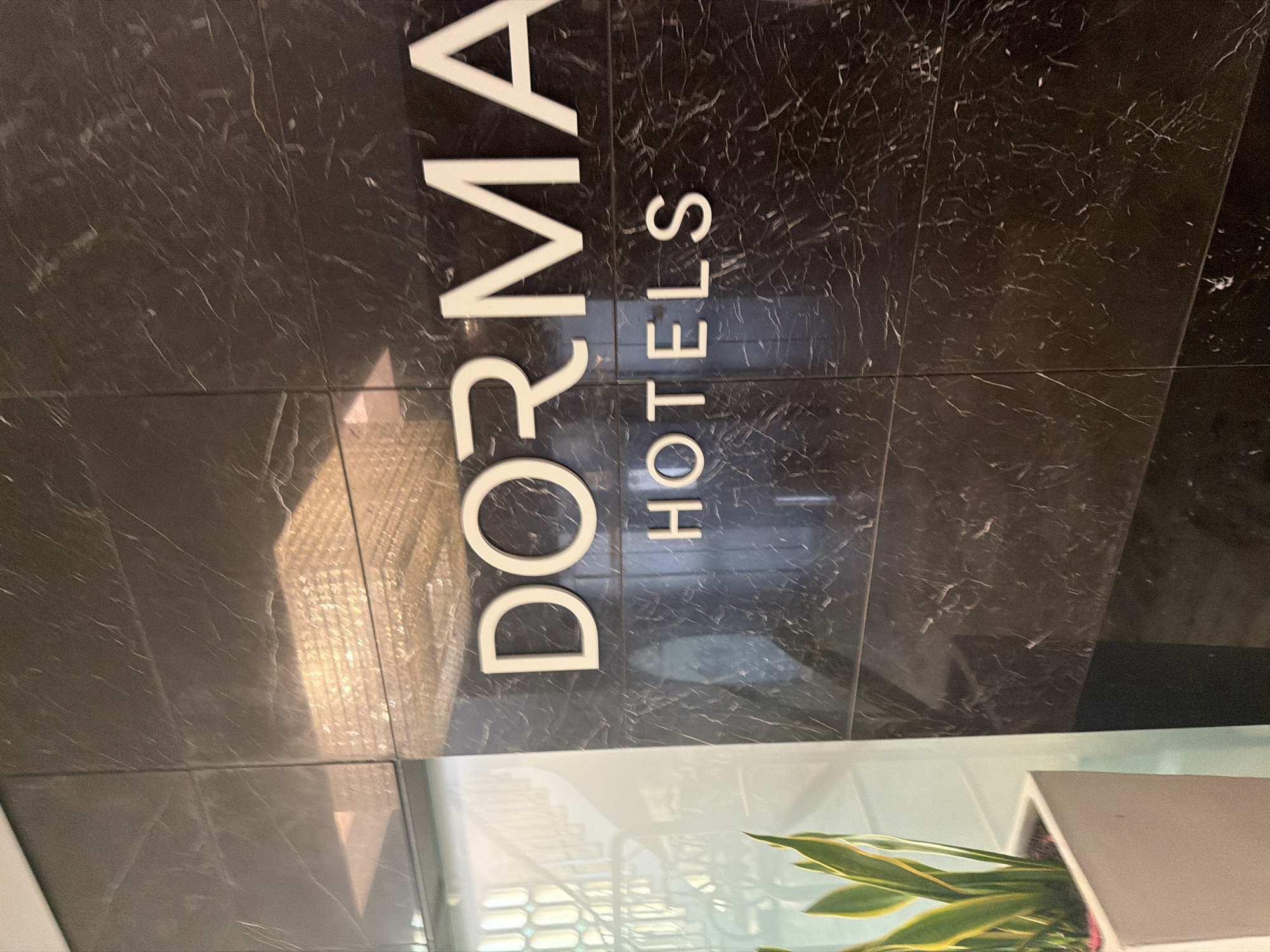 The image shows the exterior signage for Dorma Hotels, located in Espinho, Portugal. The sign, made of white letters against a dark marble-patterned wall, reads "DORMA HOTELS". To the left of the sign is a glass pane with a view of an indoor staircase and a potted snake plant. The overall scene suggests a modern hotel entrance.