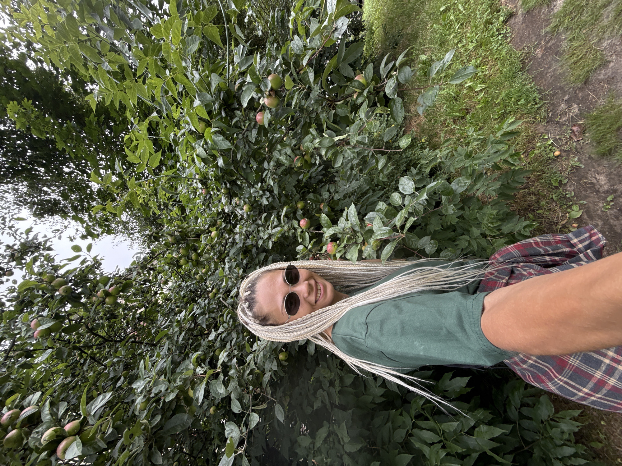 In Rusanovo, Russia, a young woman with blonde braided hair and sunglasses stands in front of a lush green apple tree laden with fruit. She is wearing a green t-shirt and a plaid skirt. The tree is in full bloom, with numerous green and red apples visible among the dense foliage. The ground beneath the tree is covered in grass and dirt, with a path visible to the right of the frame. The overall scene suggests an outdoor setting, possibly a garden or orchard, on a cloudy day.