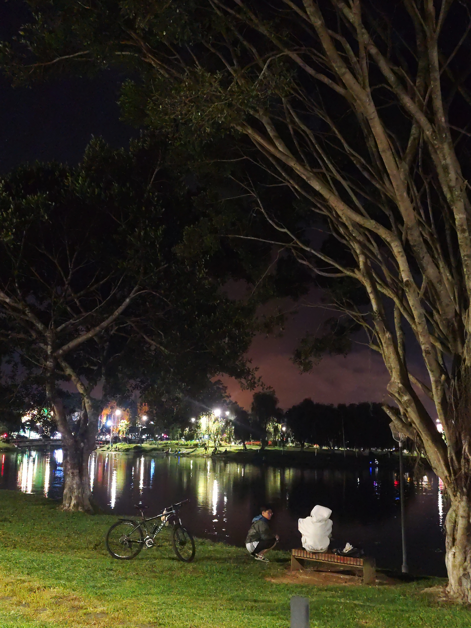The image depicts a night scene at Xuan Huong Lake in Da Lat, Vietnam. A bicycle leans against a tree on a grassy bank in the foreground. The lake reflects illuminated lights along its opposite shore. Two people are present: one person squats near the water's edge, while another sits on a park bench nearby. A lamppost is visible near the bench. The scene is framed by trees with bare branches on the right and trees with leaves on the left. The sky is visible in the background.