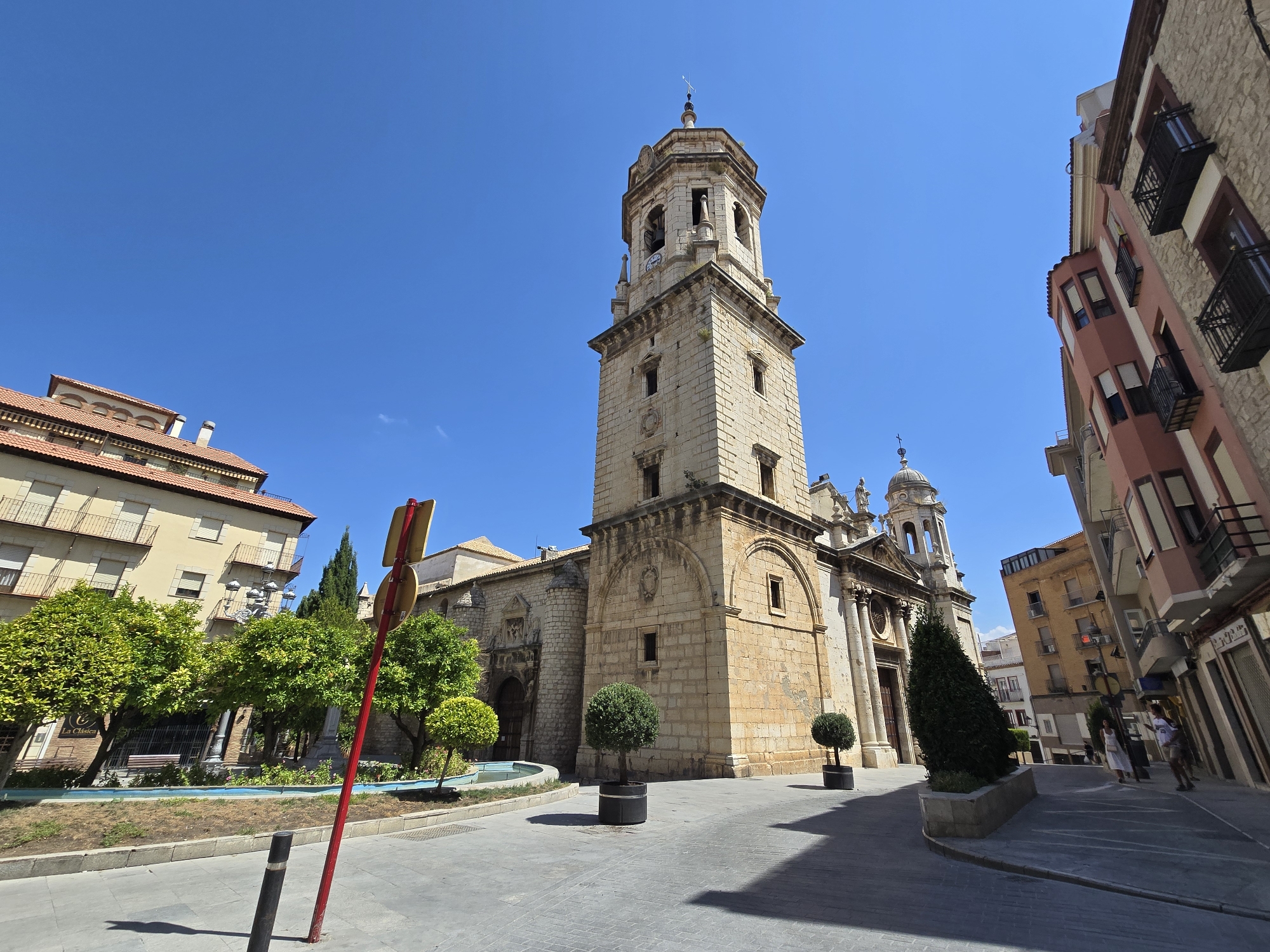 The image shows a view of a plaza in Jaén, Spain, with a prominent church building and its bell tower dominating the center. The church is constructed of light-colored stone with arched windows and doorways. The bell tower is tall and square, with multiple levels and openings, topped by a small spire. To the left of the church is a building with a red-tiled roof and arched windows, and a small garden area with trees and a fountain. To the right of the church, the plaza opens onto a street lined with multi-story buildings of various colors and architectural styles, including some with balconies. The sky is clear and blue, indicating a sunny day. The ground of the plaza is paved with gray stones. There are a few potted trees and bushes strategically placed in the plaza. In the background, a few people are visible walking along the street. A red and yellow signpost is visible in the foreground to the left, leaning slightly.