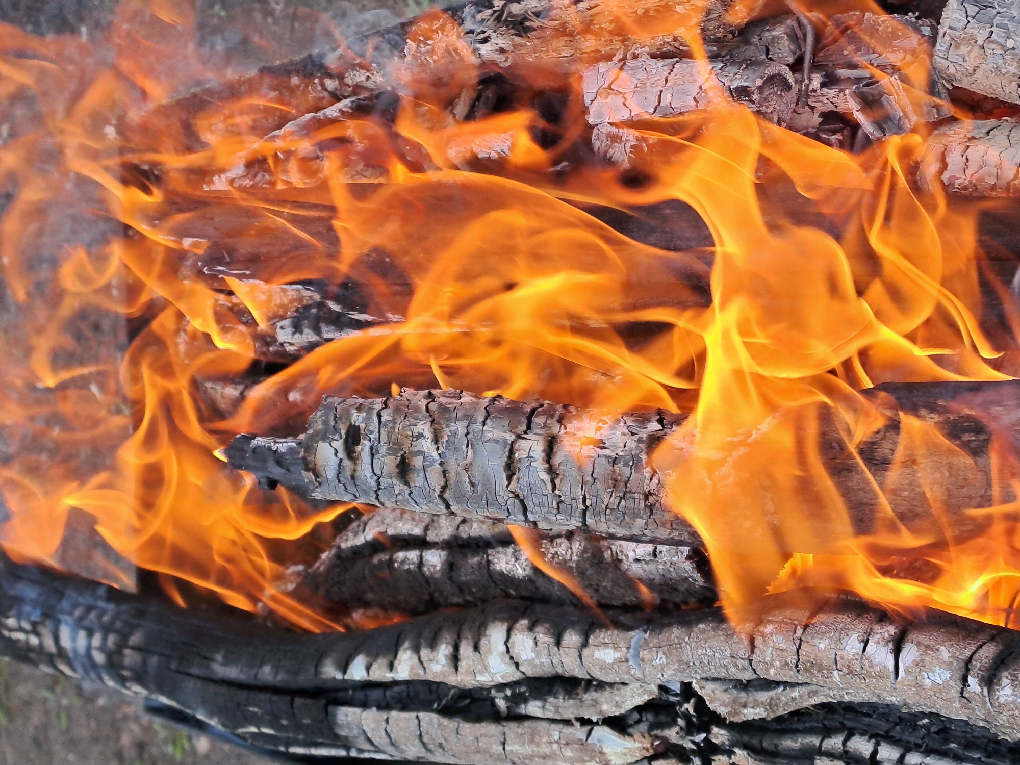This close-up image captures a vibrant and intense fire. The primary subjects are flickering flames and burning wood logs. The flames are a dominant force, painted in brilliant shades of orange and yellow, swirling and dancing across the frame. Beneath and through the fire, several charred and partially burned wooden logs are visible. Some sections of the logs are dark black, indicating areas that have already been consumed by fire, while others show the rough, cracked texture of heated wood, appearing greyish and somewhat ashen. A larger, dark, and heavily charred log runs along the bottom left, providing a sense of scale.
The scene depicts a campfire or bonfire burning, likely outdoors, given the nature of the wood and the subtle, out-of-focus background which hints at natural surroundings. The bright intensity of the flames suggests a well-established and hot fire, potentially used for warmth, cooking, or ambiance during an evening gathering. There are no people visible, and the focus remains solely on the dynamic interaction of fire and wood. The overall impression is one of warmth, energy, and the mesmerizing beauty of a burning fire. No visible text is present. The context provided indicates the location is Polanki, Russia.
