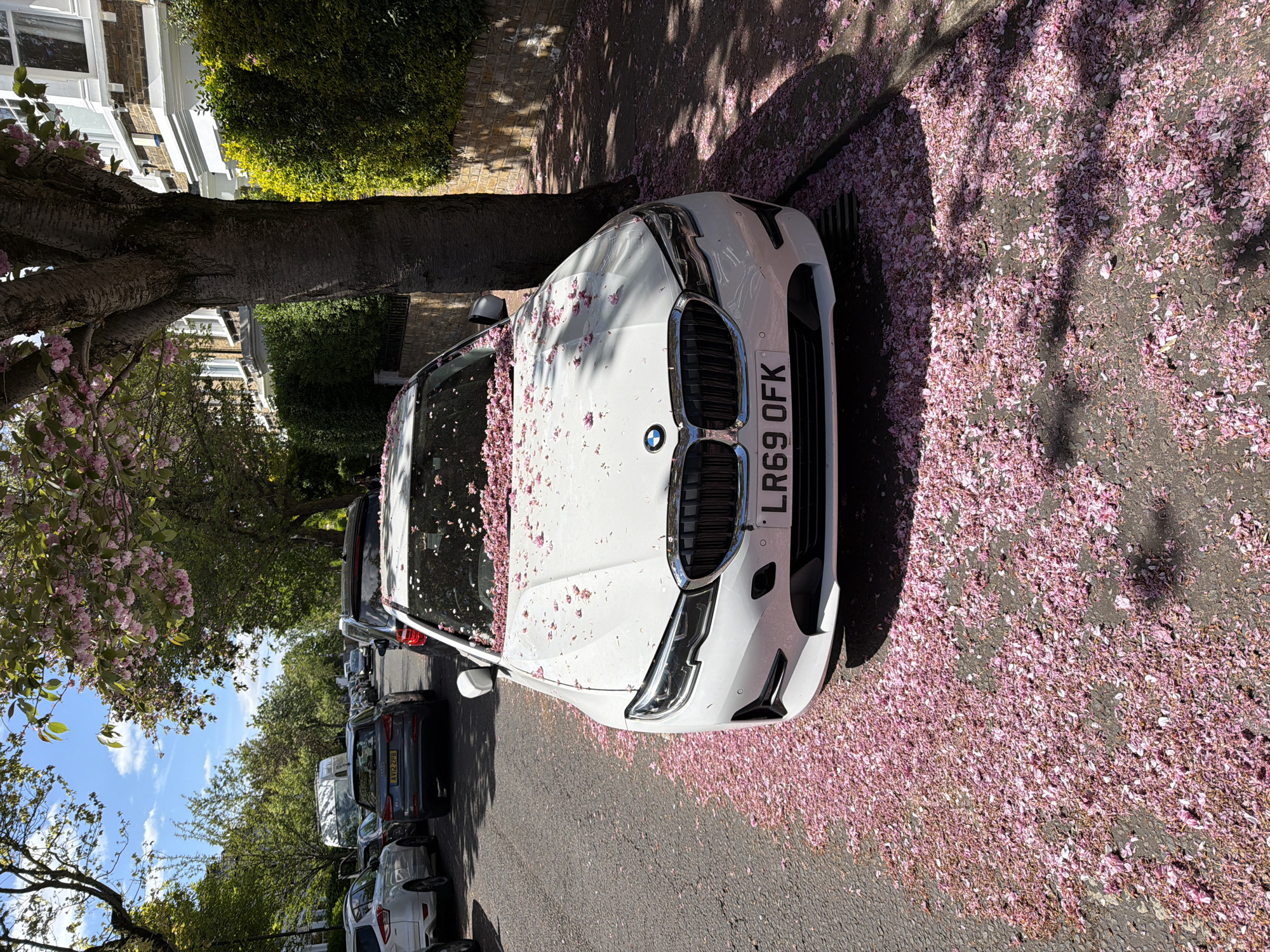 A white car is parked on a street covered in pink flower petals. The car has a license plate that reads "LR69 OFK." The scene is in London, United Kingdom, during the spring, evident from the presence of trees blooming with pink flowers. The roadway and sidewalk are also covered in fallen pink flower petals. Additional vehicles are parked further down the street. The scene is brightly lit. The image is oriented vertically.