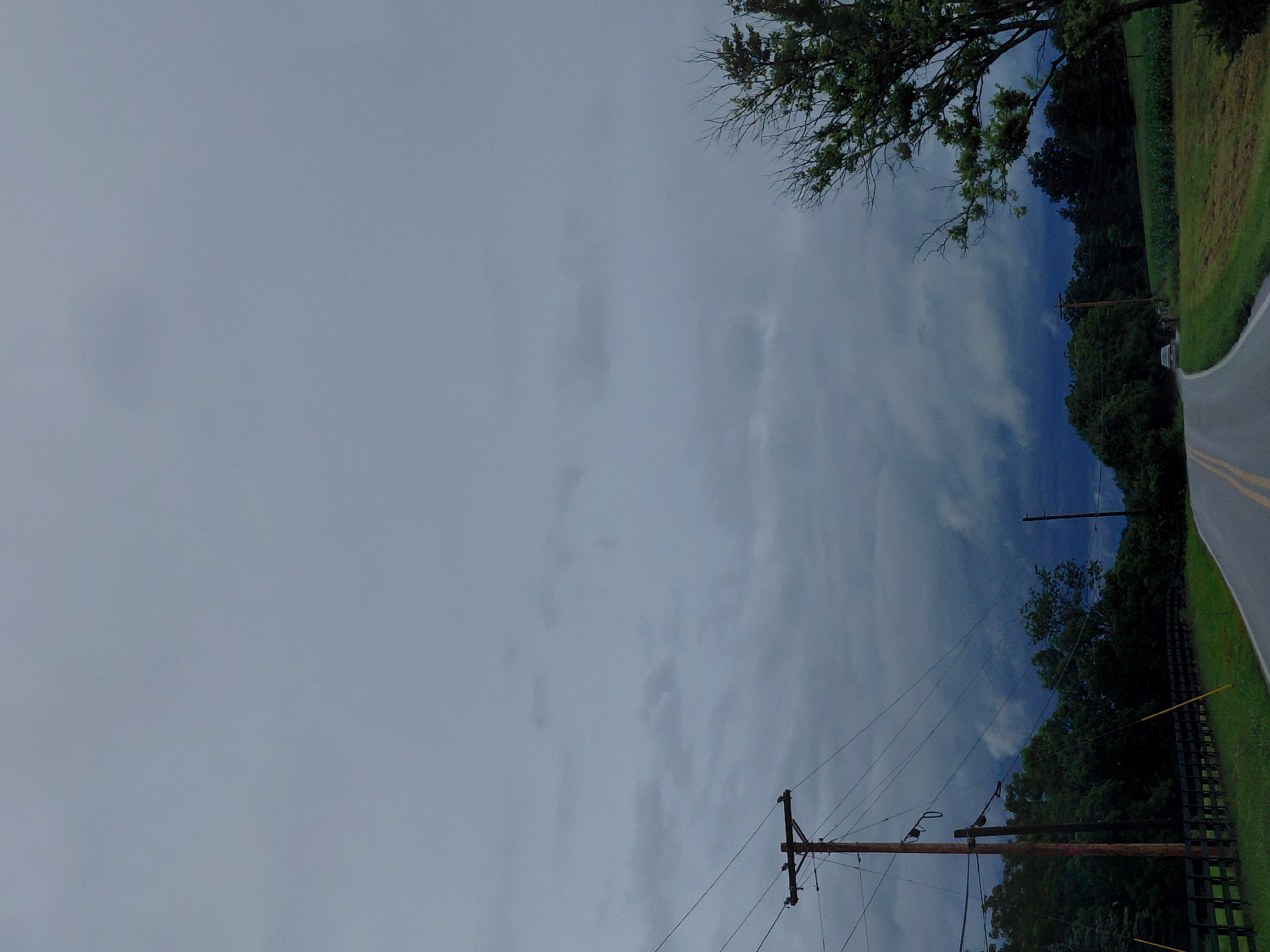 This is a photograph taken outdoors, likely in a rural or semi-rural setting in Nicholasville, USA. The perspective is from a low angle looking upwards and to the right. The sky is overcast with some patches of blue peeking through the clouds, suggesting it could be a partly cloudy or a slightly hazy day, possibly in the late morning or afternoon given the light.
The primary subjects are elements of a power line system and the natural landscape. A wooden utility pole with several crossbars and wires is prominently featured in the foreground and mid-ground, stretching diagonally across the frame. The wires themselves are numerous and crisscross, hinting at a functional power or telephone line. Behind the utility pole, a dense line of dark green trees forms a backdrop, with a road curving to the right of the frame. The road appears to be paved and has yellow lines marking the lanes. A portion of a green grassy field or lawn is visible alongside the road, bordered by a dark wooden fence. In the upper right corner, the branches of a leafy tree extend into the sky, with some of its leaves appearing dry or bare.
There are no people visible in the image. The overall mood is somewhat subdued due to the overcast sky, but the presence of the road and trees suggests a potentially scenic drive or a residential area adjacent to a natural setting. The image seems to capture a moment of quiet observation of the infrastructure and natural elements of the environment. No text is visible in the photograph.