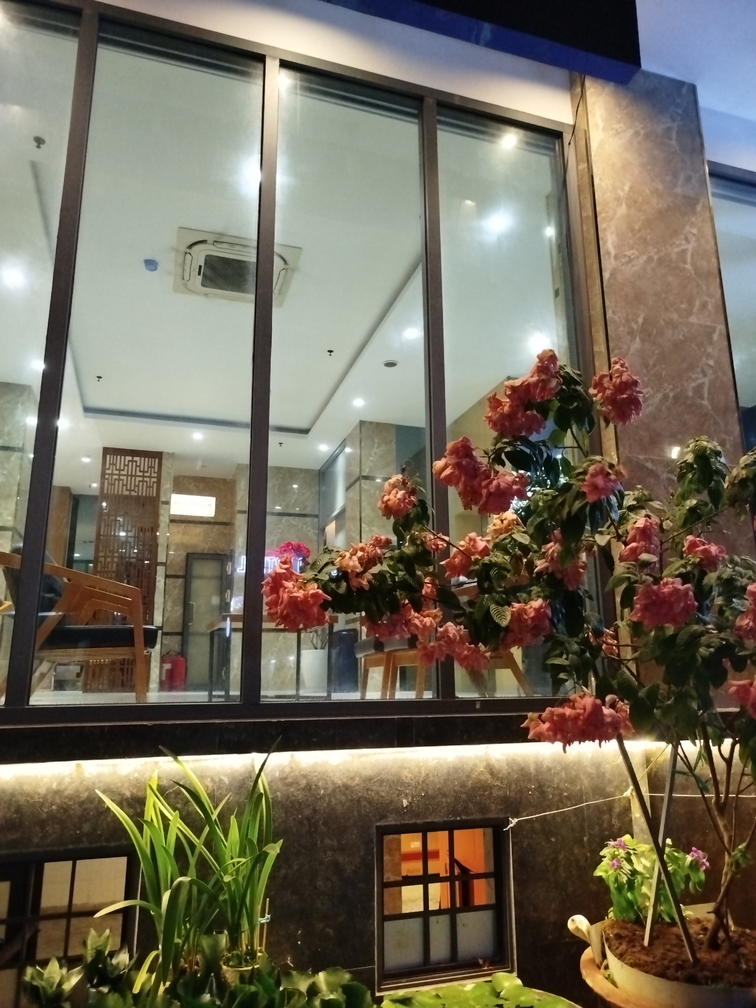 The image shows the exterior of a building, likely a hotel or business, at night. Large glass windows reflect the interior, revealing chairs, tables, interior design elements, and a fire extinguisher. Outside, plants, including flowering bushes with salmon-colored blossoms, are planted in front of the building. The location is most likely Ho Chi Minh City, Vietnam.