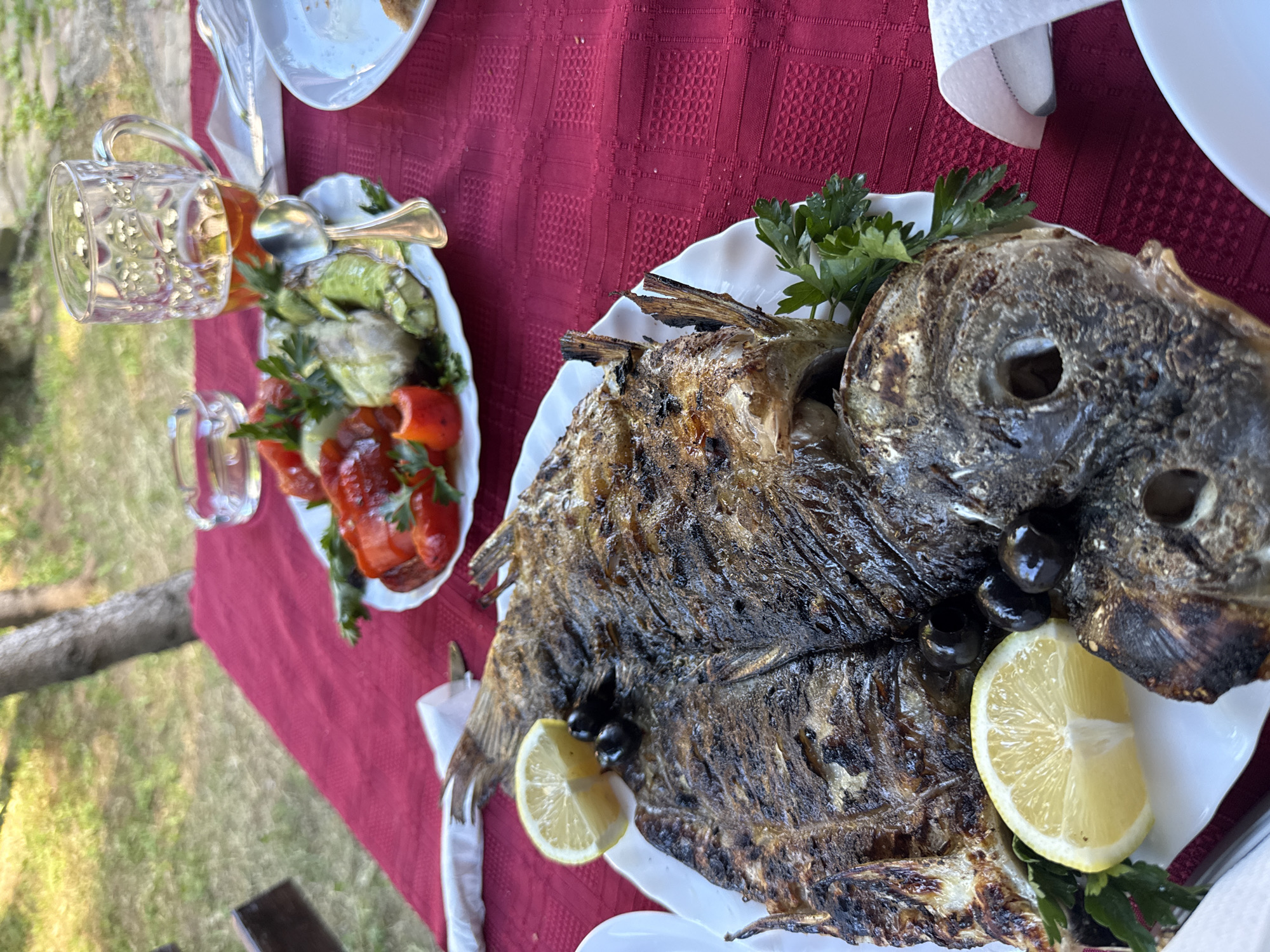 A high-angle shot captures a table setting in what appears to be Syniak, Ukraine. The scene showcases a red tablecloth adorned with two white plates. One plate presents a whole grilled fish garnished with lemon slices, olives, and parsley. The second plate holds a medley of roasted vegetables, including bell peppers and zucchini, accompanied by serving spoons. Two glass mugs are placed on the table, and the background suggests an outdoor setting with greenery and a glimpse of a wooden structure.
